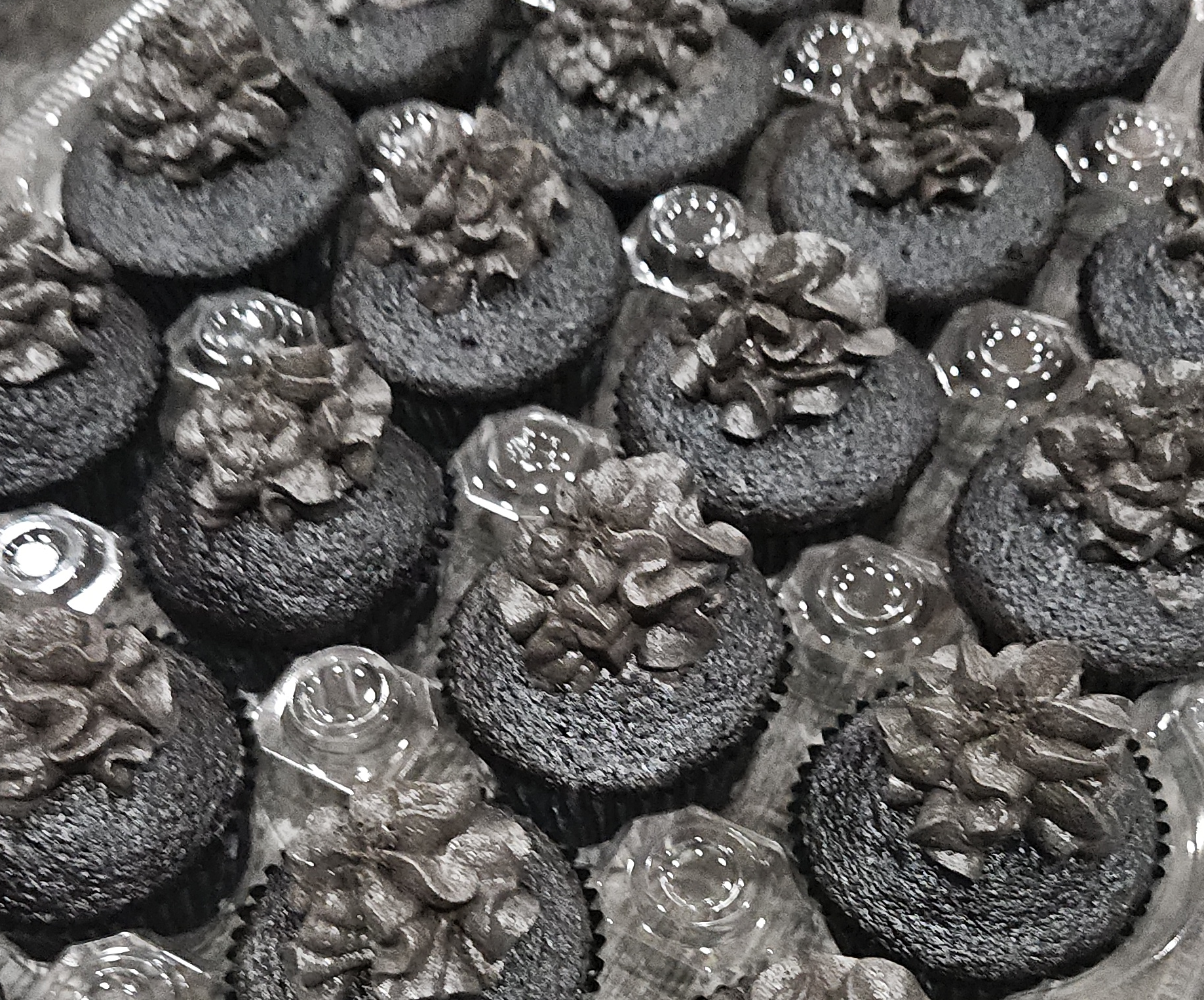 Dozen Black Velvet Cupcakes