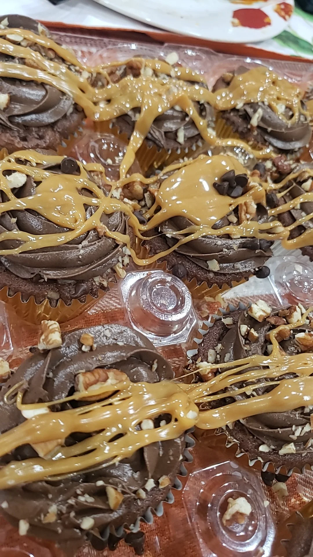 Dozen Turtle Cupcakes