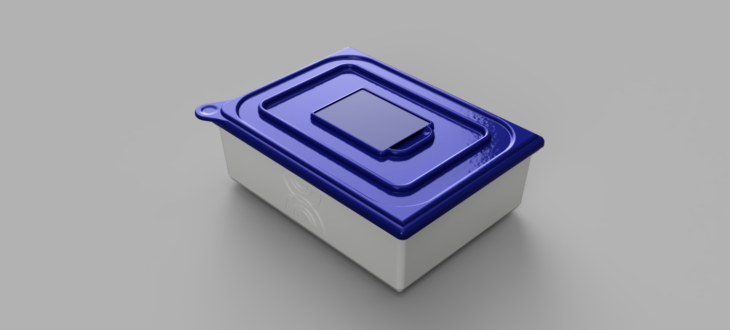Reusable Takeaway Box 1.png