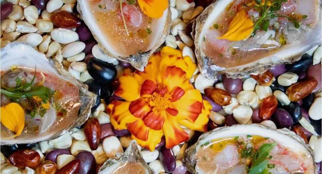 Maiz DLV x Limo:                  Ode to Mother Earth