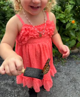 Learning Beyond the Classroom: How Everyday Spaces Become Powerful Learning Environments