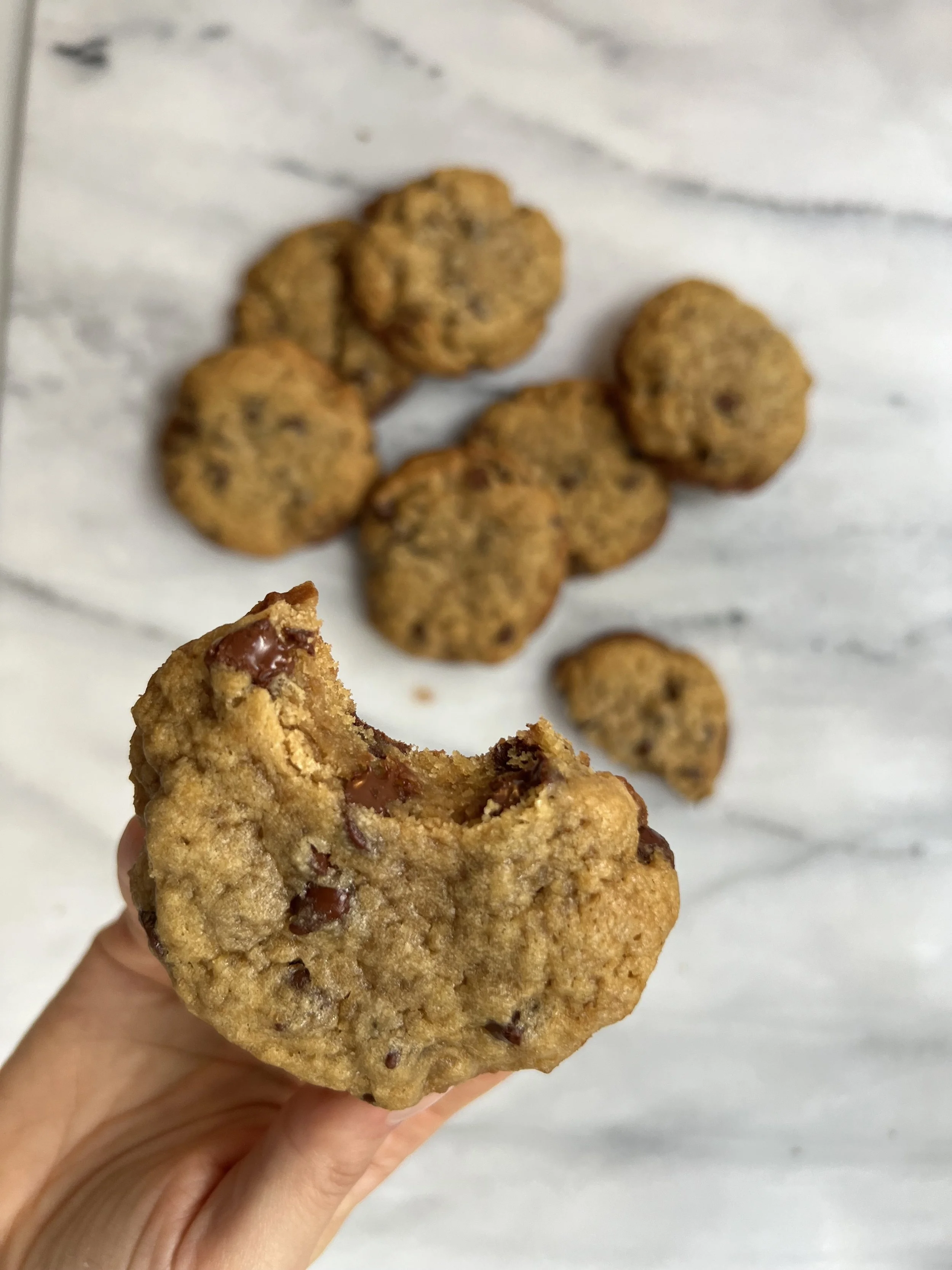 Sourdough Chocolate Chip Cookies (8)