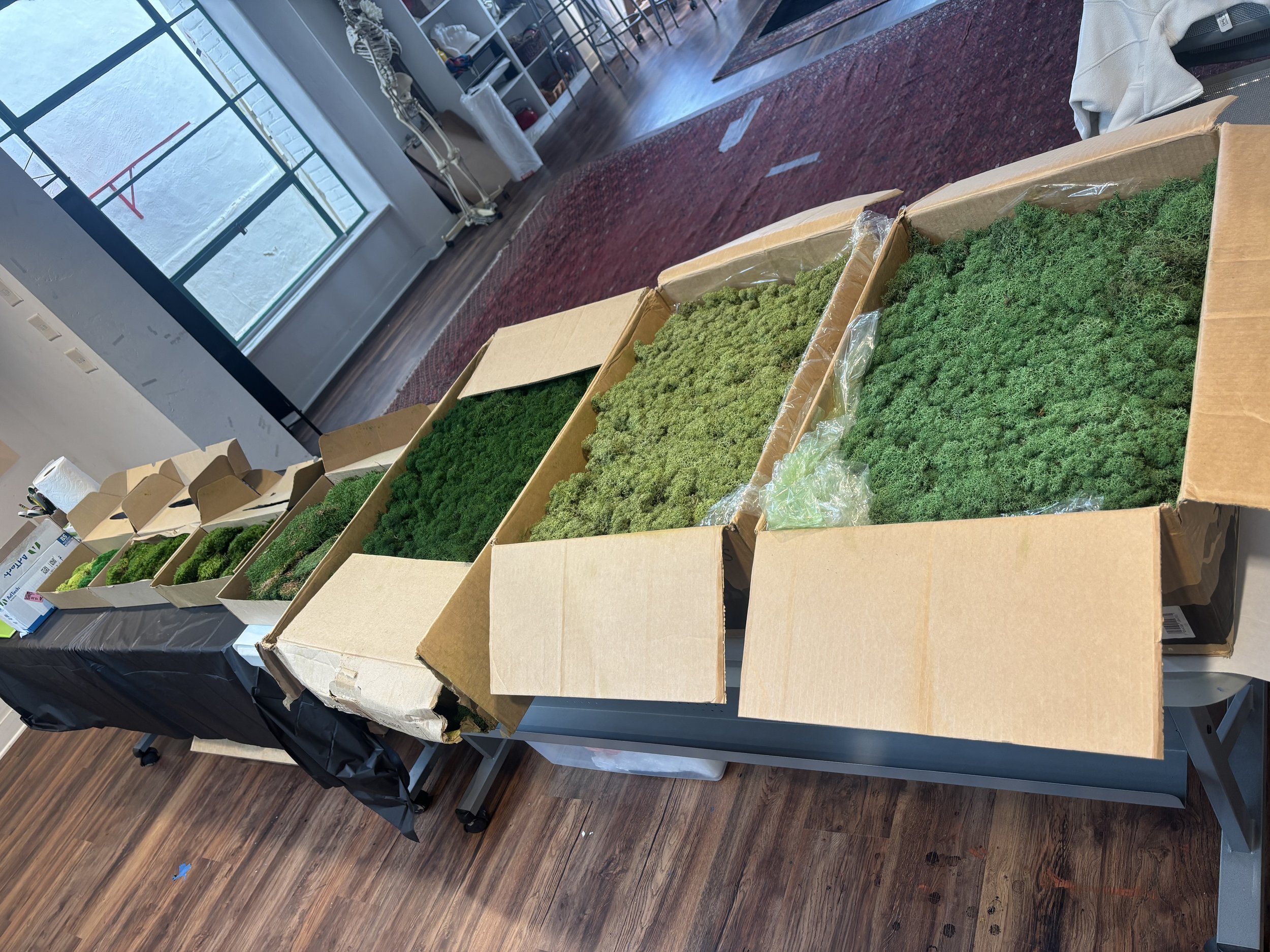 IMG_4296.jpeg