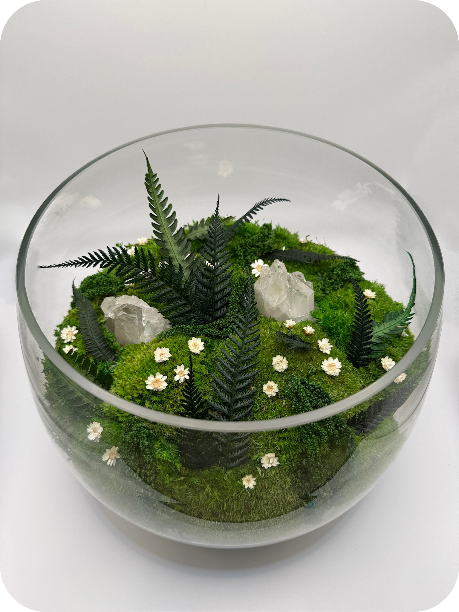 rounded-corners copy 3.png