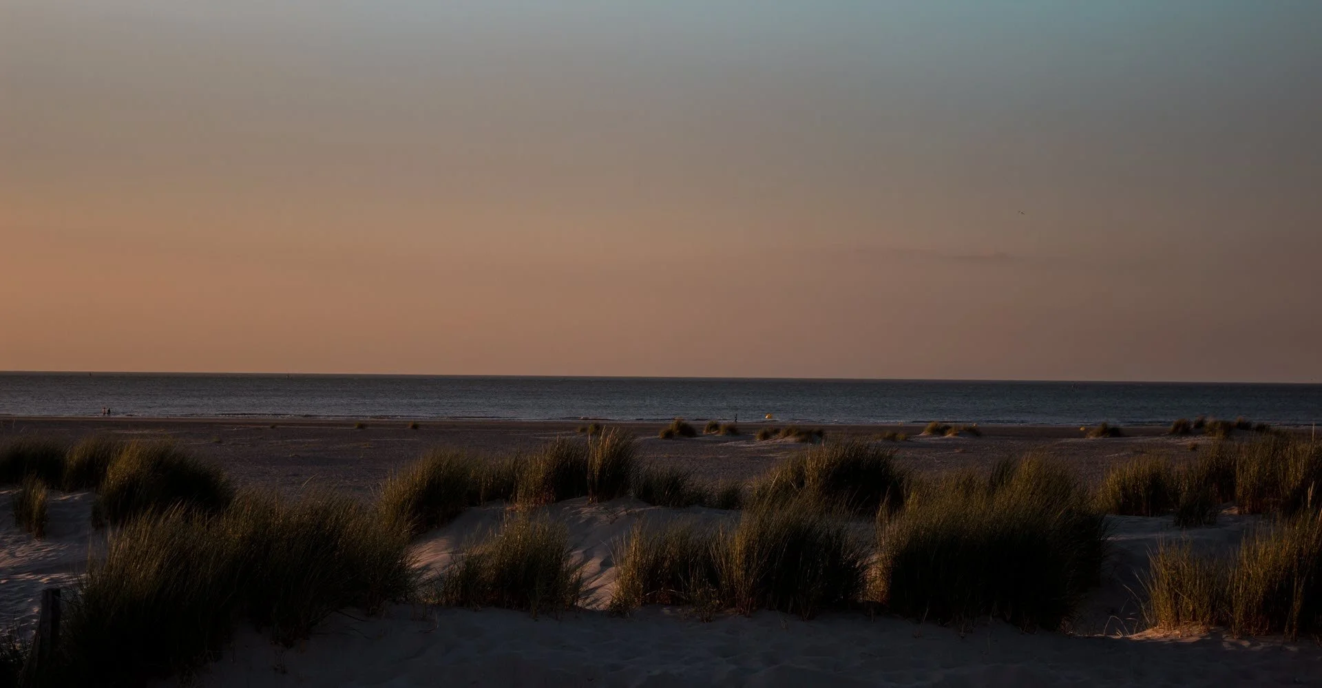 Zandduinen en grasplanten aan de kust bij zonsondergang, met de zee en een kalme lucht op de achtergrond.