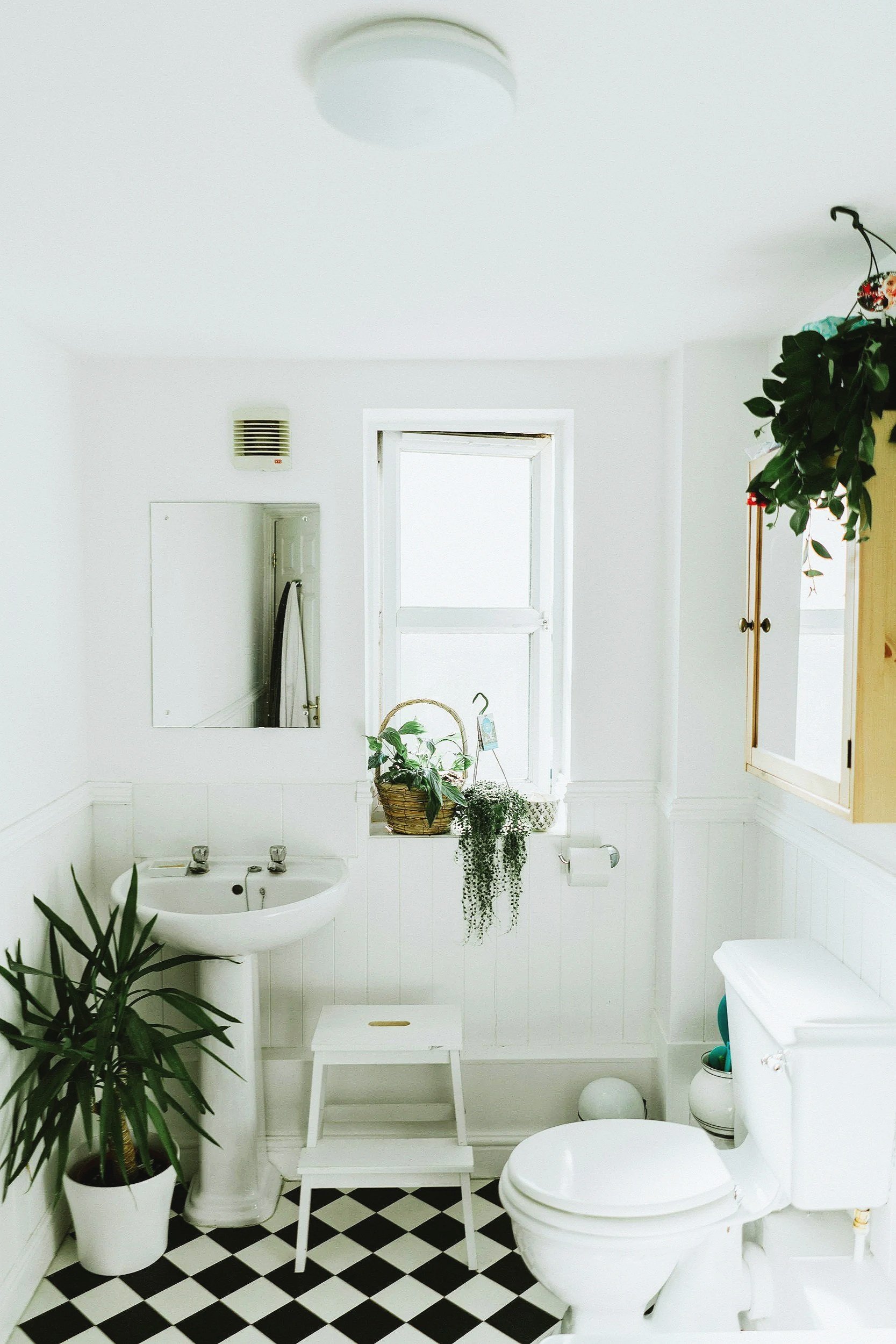 A bright, white bathroom with black and white checkered floor tiles, a white toilet, a pedestal sink, a small white stool, various green plants, a mirror on the wall, a window, and a medicine cabinet.