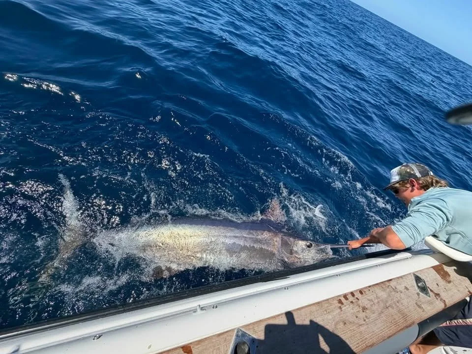 Reel n wave, lion red measure, catch &amp; release competition