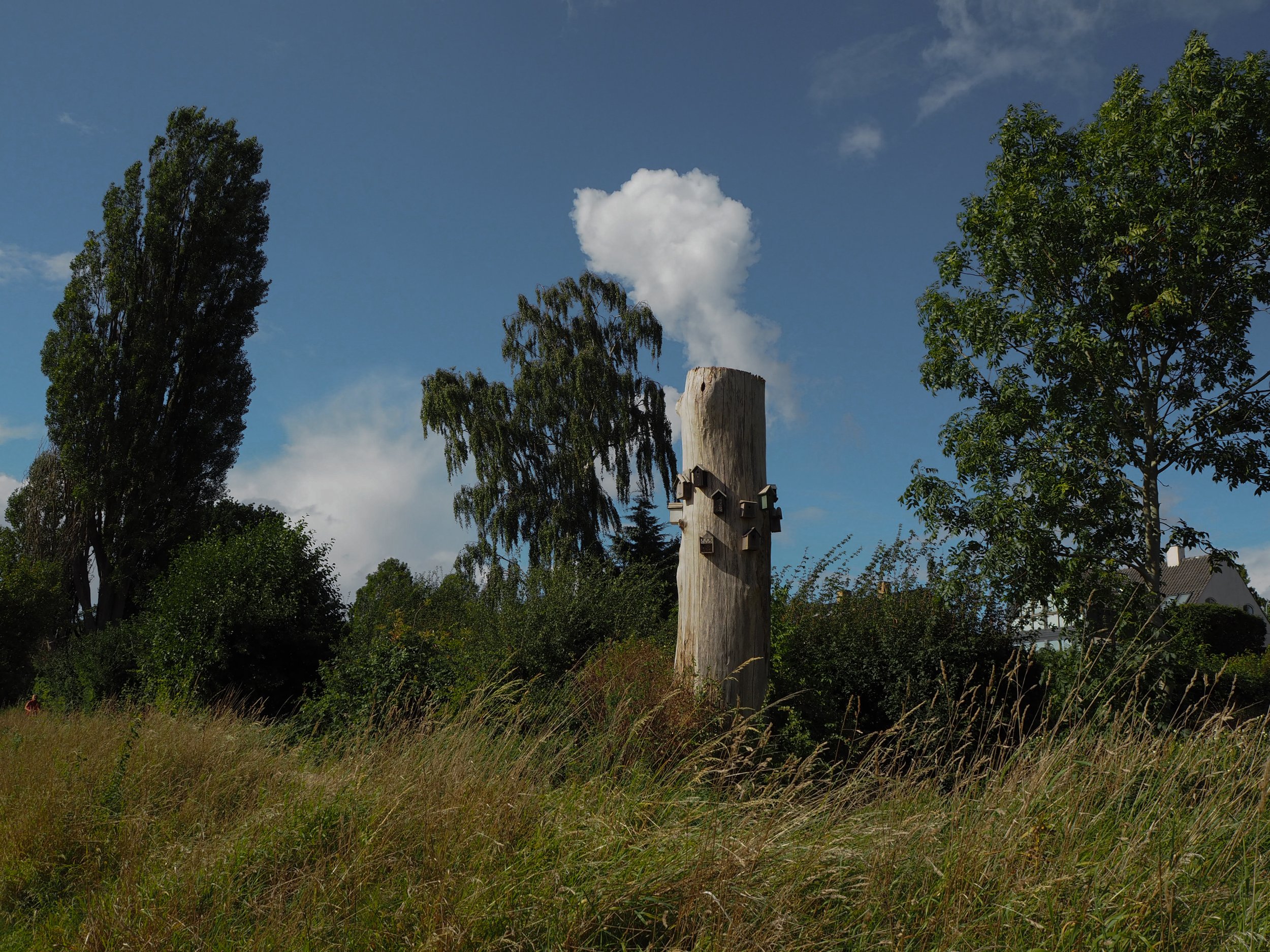 PARADIGME and the Oslo Architecture Triennale