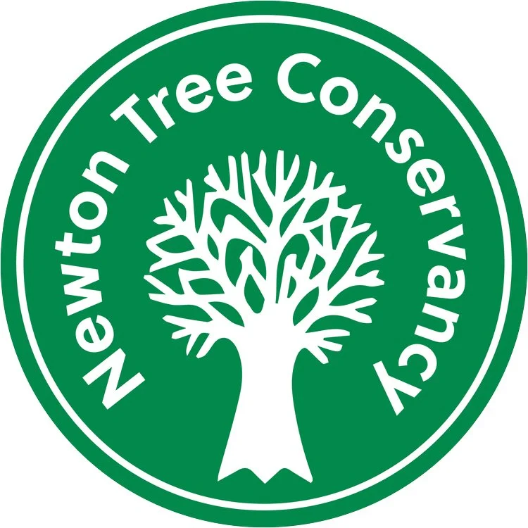 Green circular logo with white text reading 'Norton Tree Conservancy' and a stylized white tree in the center.