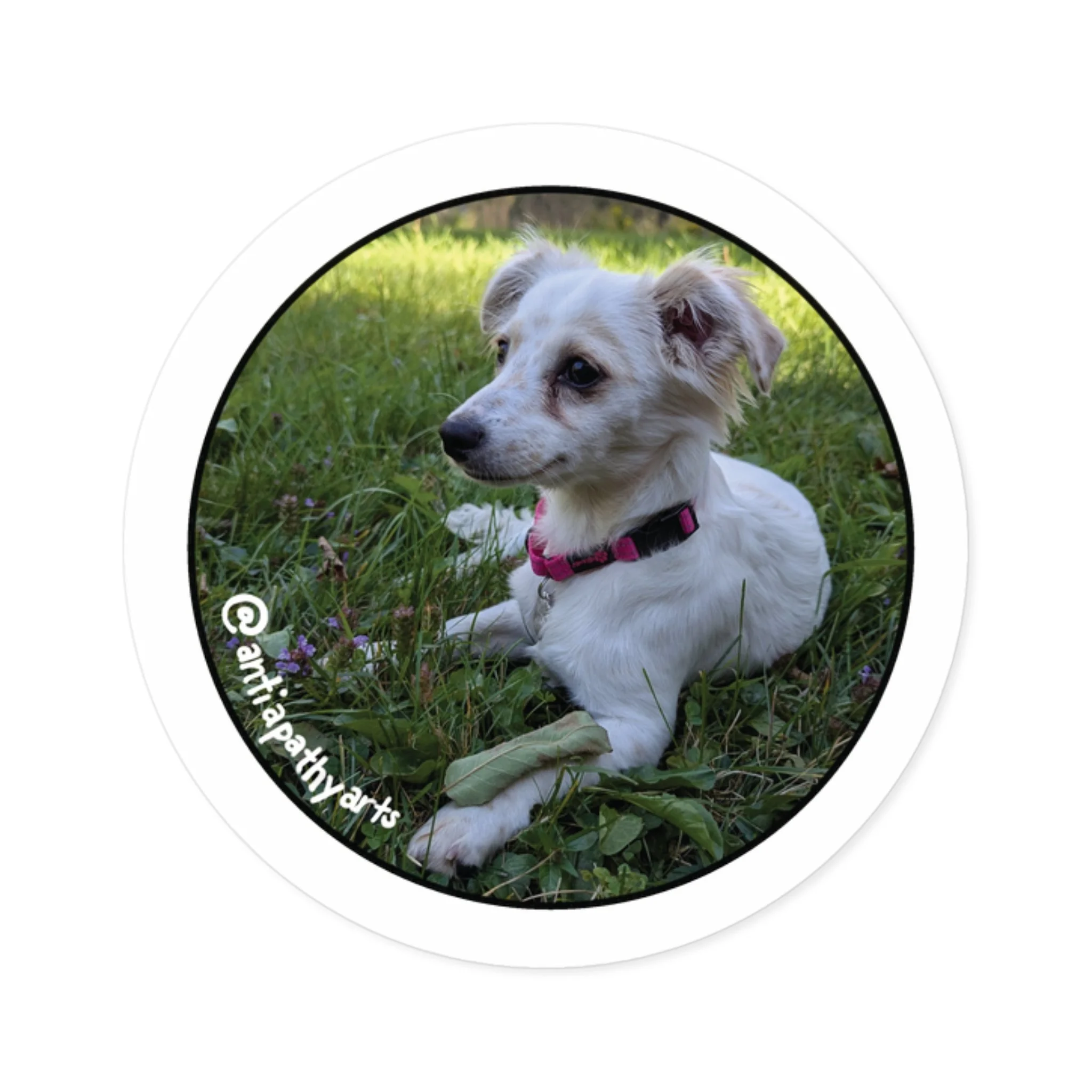 Executive Producer: Miss Mini - Round Stickers, Indoor\Outdoor