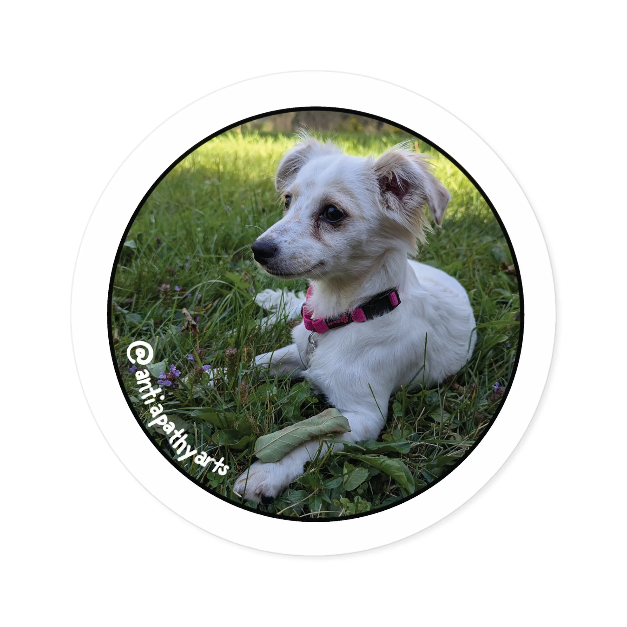 Executive Producer: Miss Mini - Round Stickers, Indoor\Outdoor