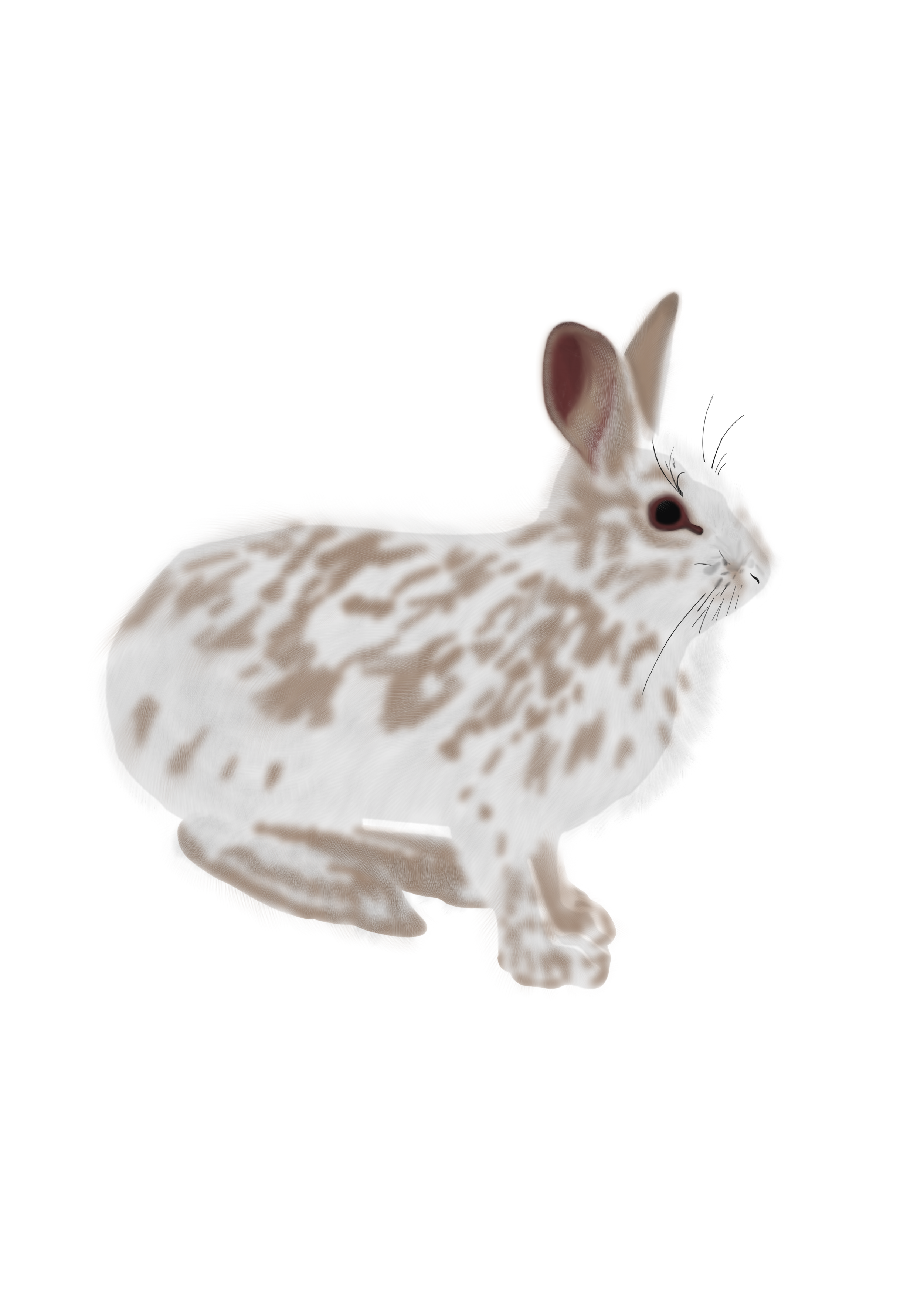 New Beginnings:  The Fool