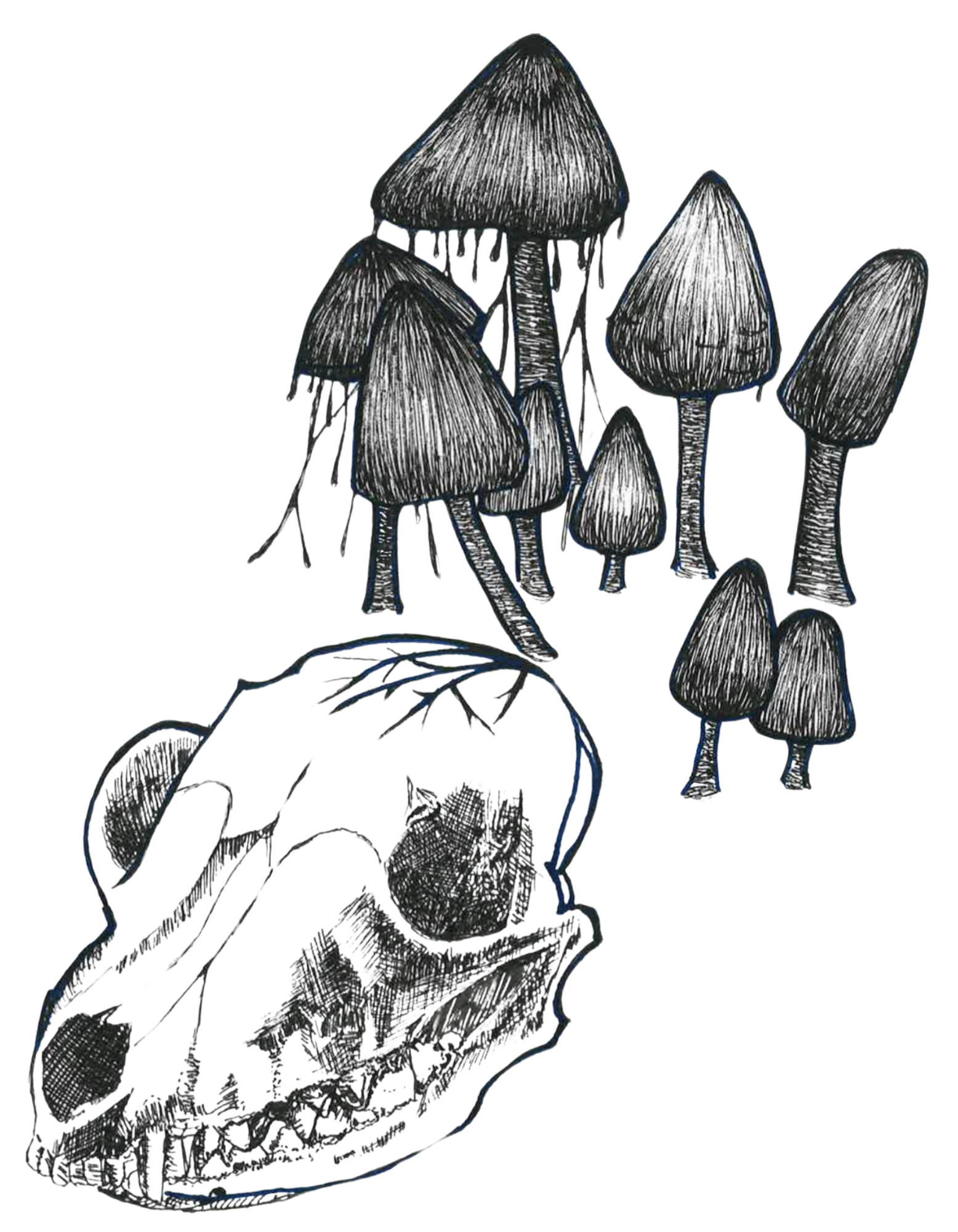 Black and white illustration of mushrooms and a skull.