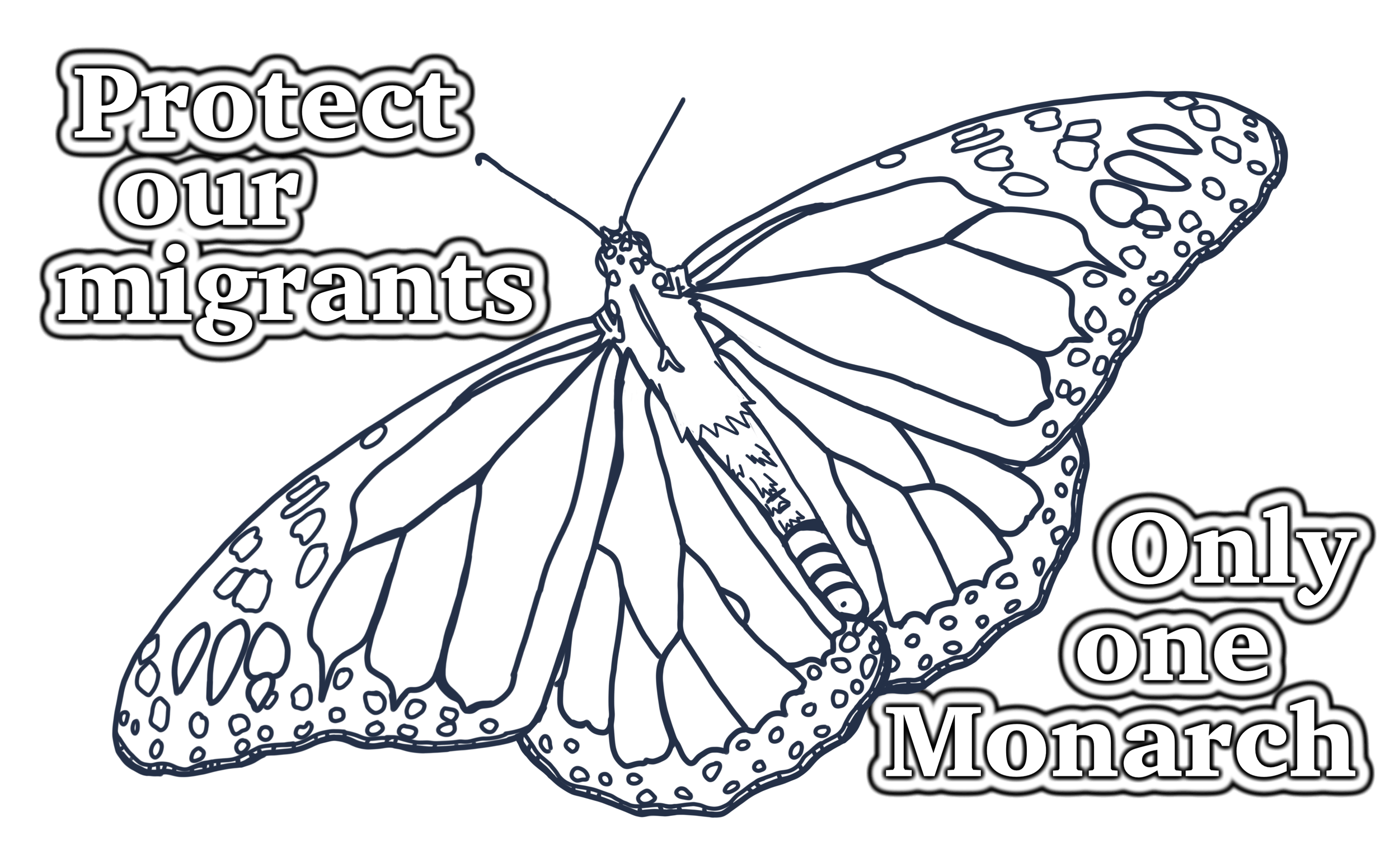 Monarch Coloring Page