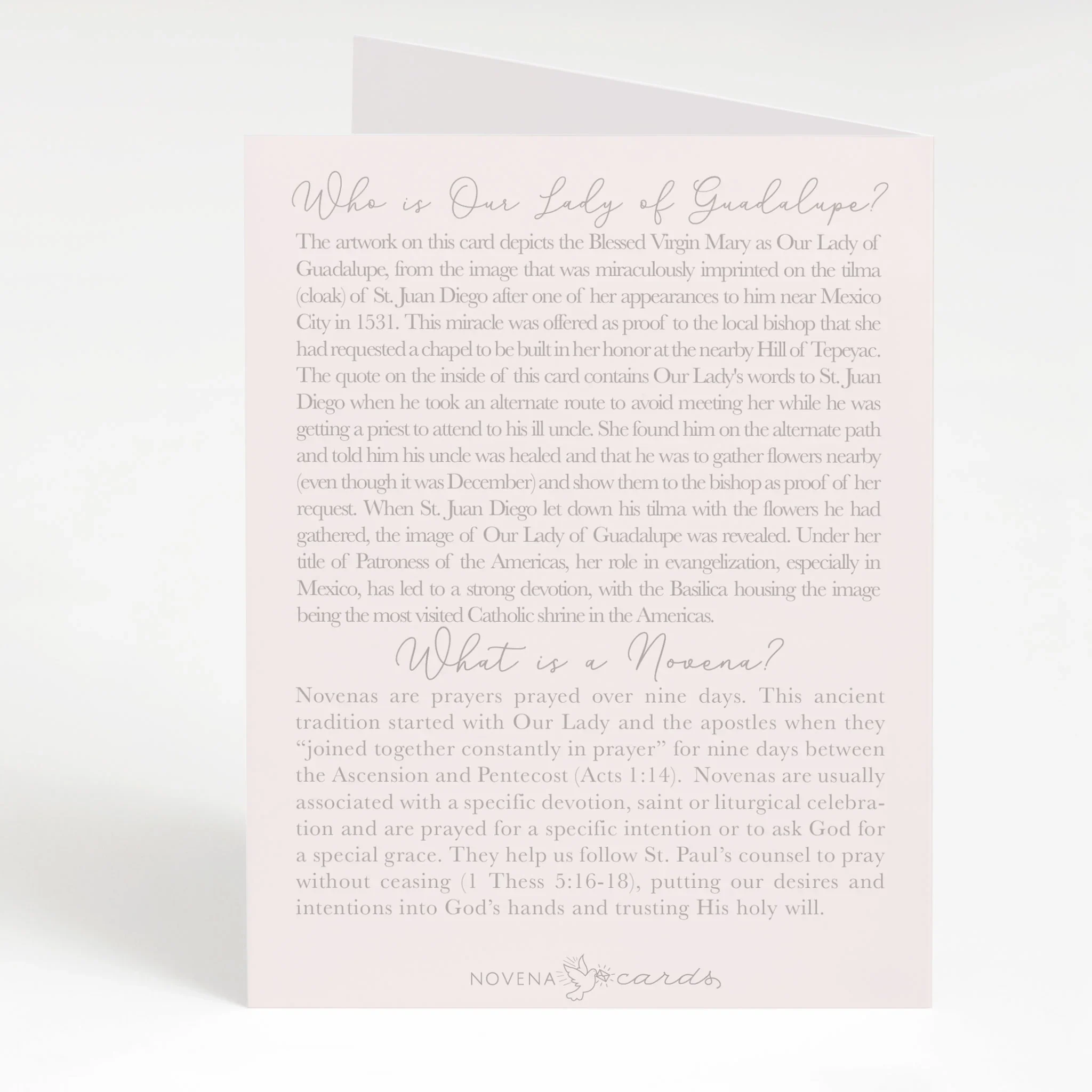 our-lady-of-guadalupe-novena-card-light-peach-back.webp
