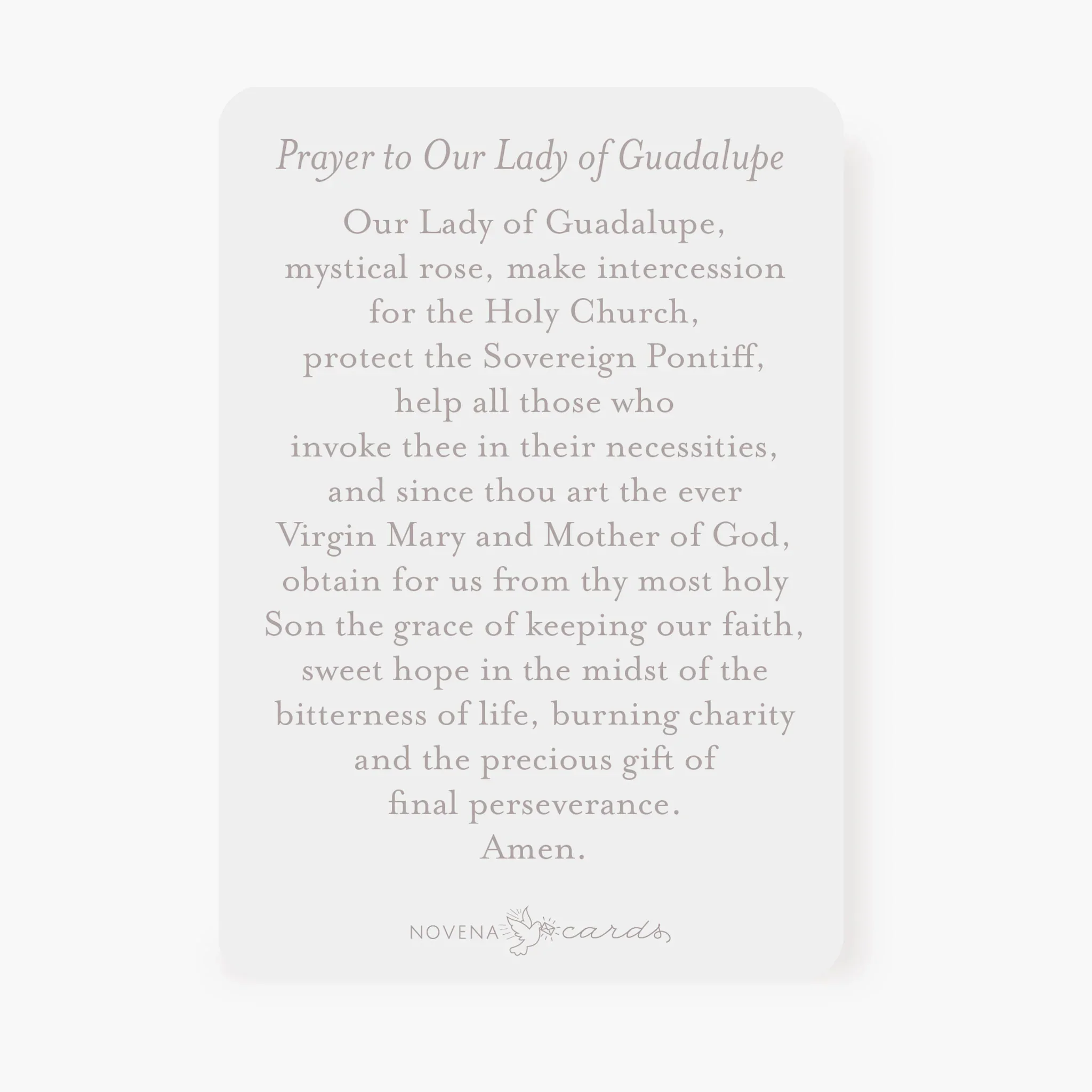 our-lady-guadalupe-prayer-card-back-english_1024x1024@2x.webp