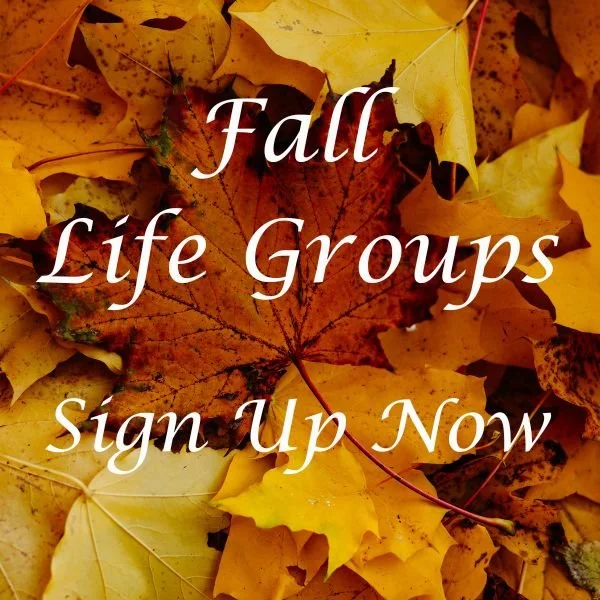 Fall Life Groups