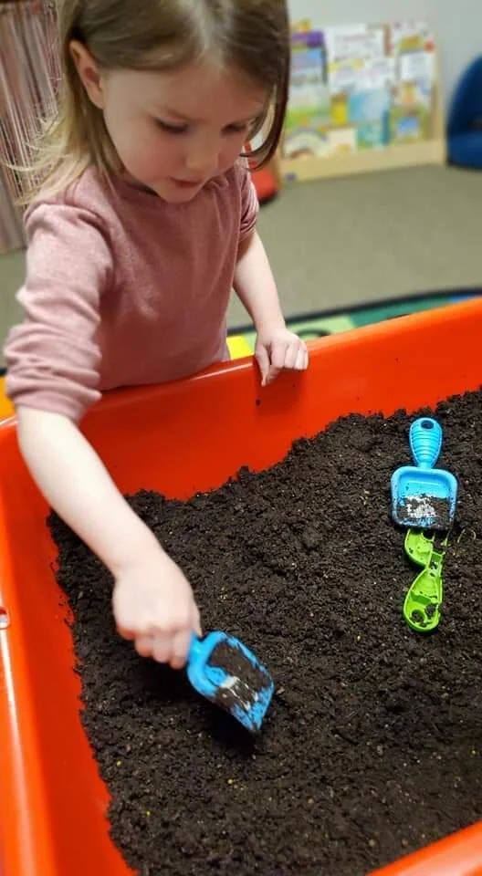 A young girl playing in a sandbox filled with dark soil, using small blue and green plastic shovels.