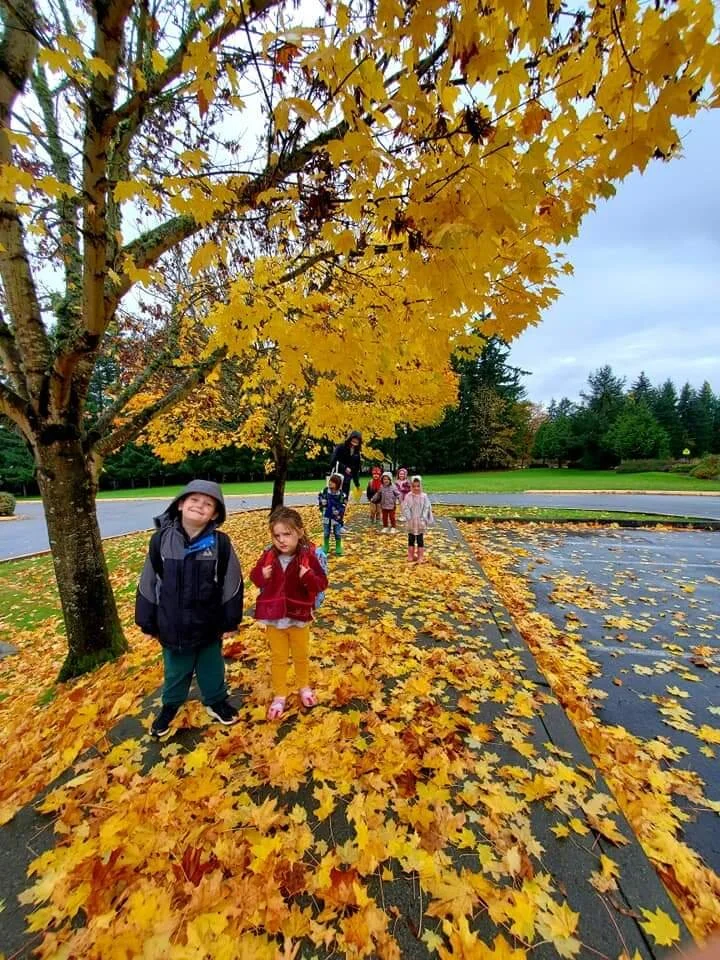Kids walking on a sidewalk covered with fallen yellow leaves during autumn, with a tree with yellow leaves overhead and a cloudy sky in the background.