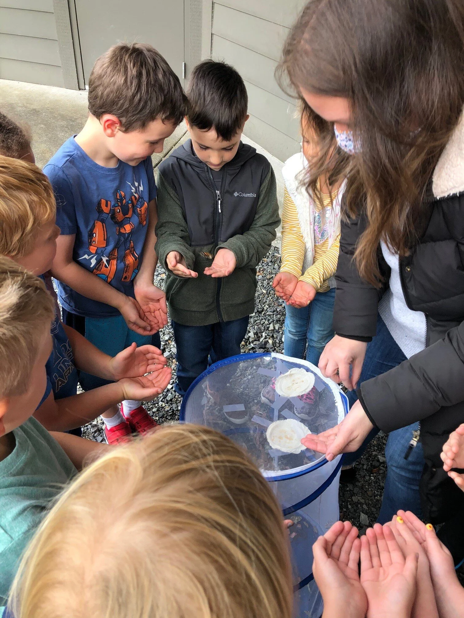 A group of children and an adult are gathered outdoors around a circular container with a mesh cover, observing jellyfish inside.