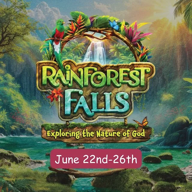 VBA - Rainforest Falls