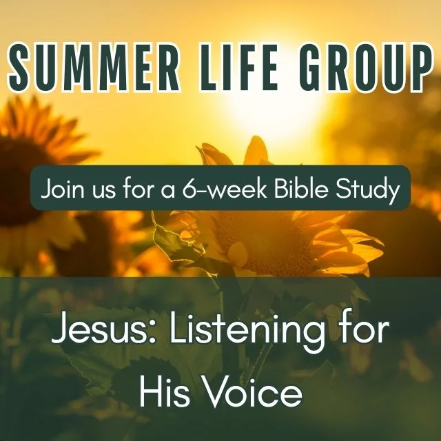 Ladies Summer Bible Study