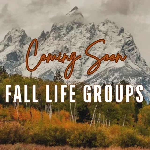 Life Groups