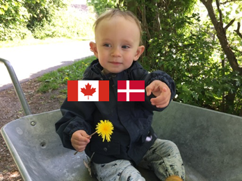 Sprogets politik – om støtten til børns minoritetssproglige udvikling