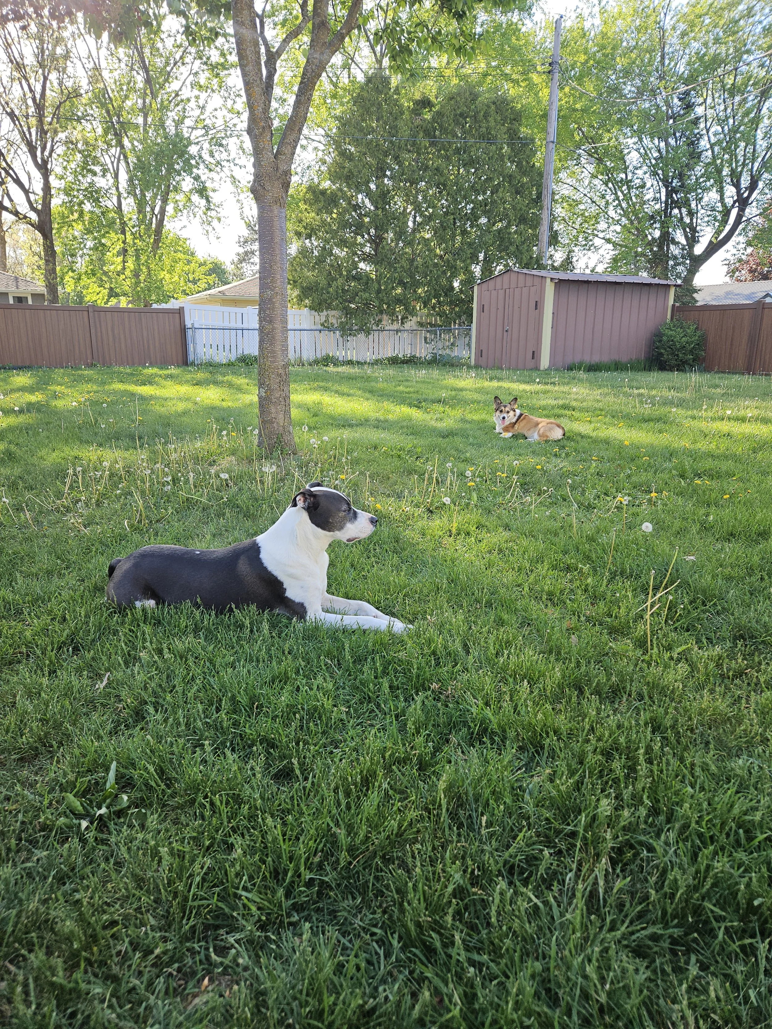 20260516_180724.jpg