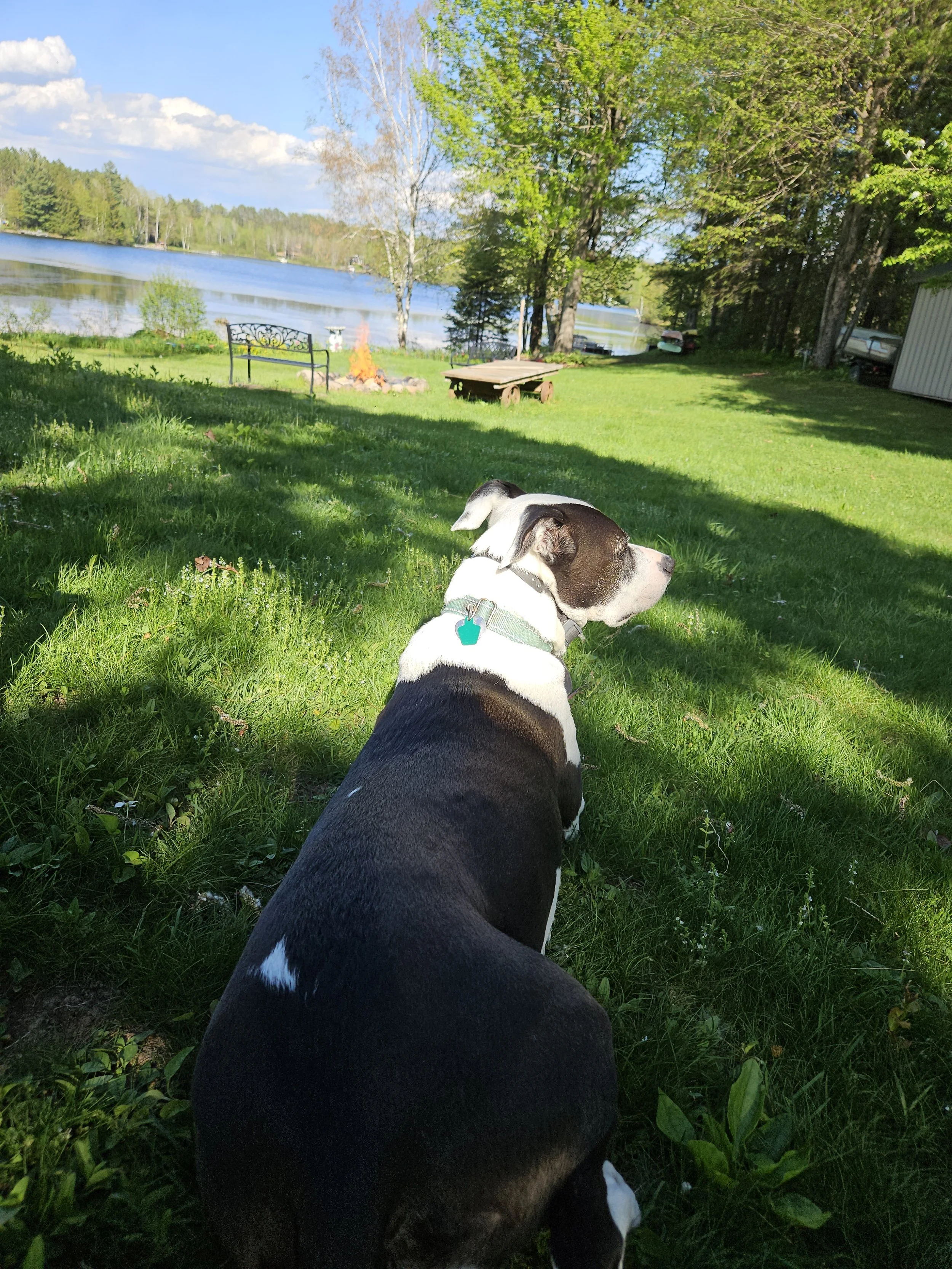 20260524_171242.jpg