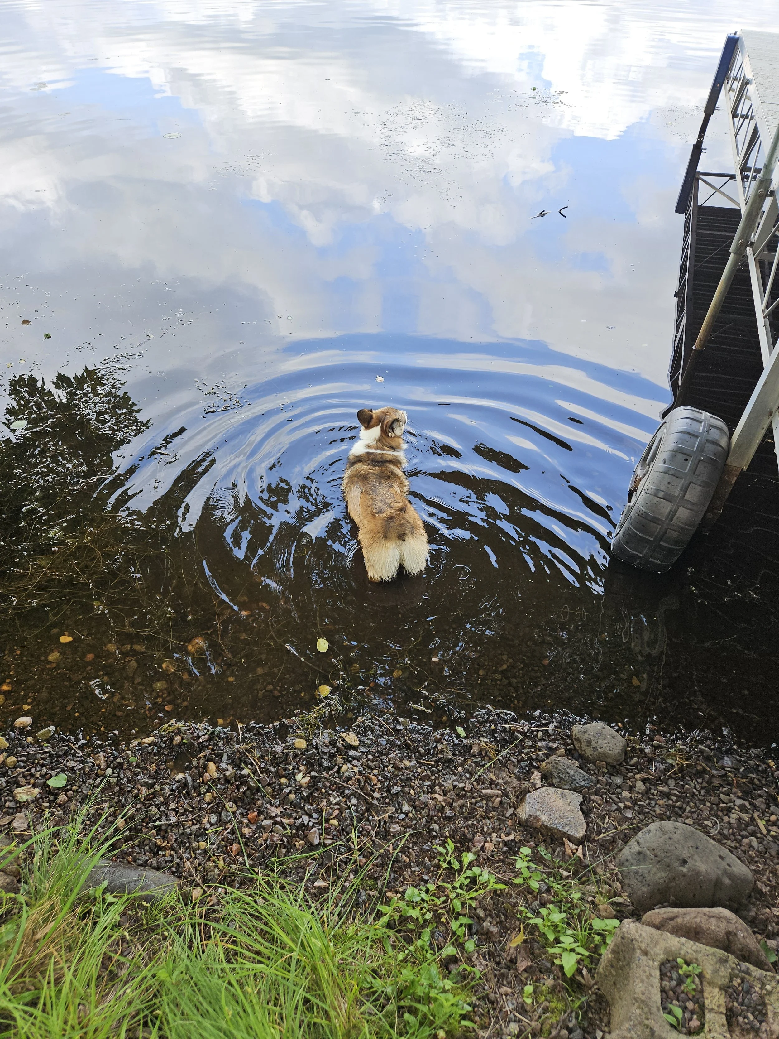 Daisy Swimming
