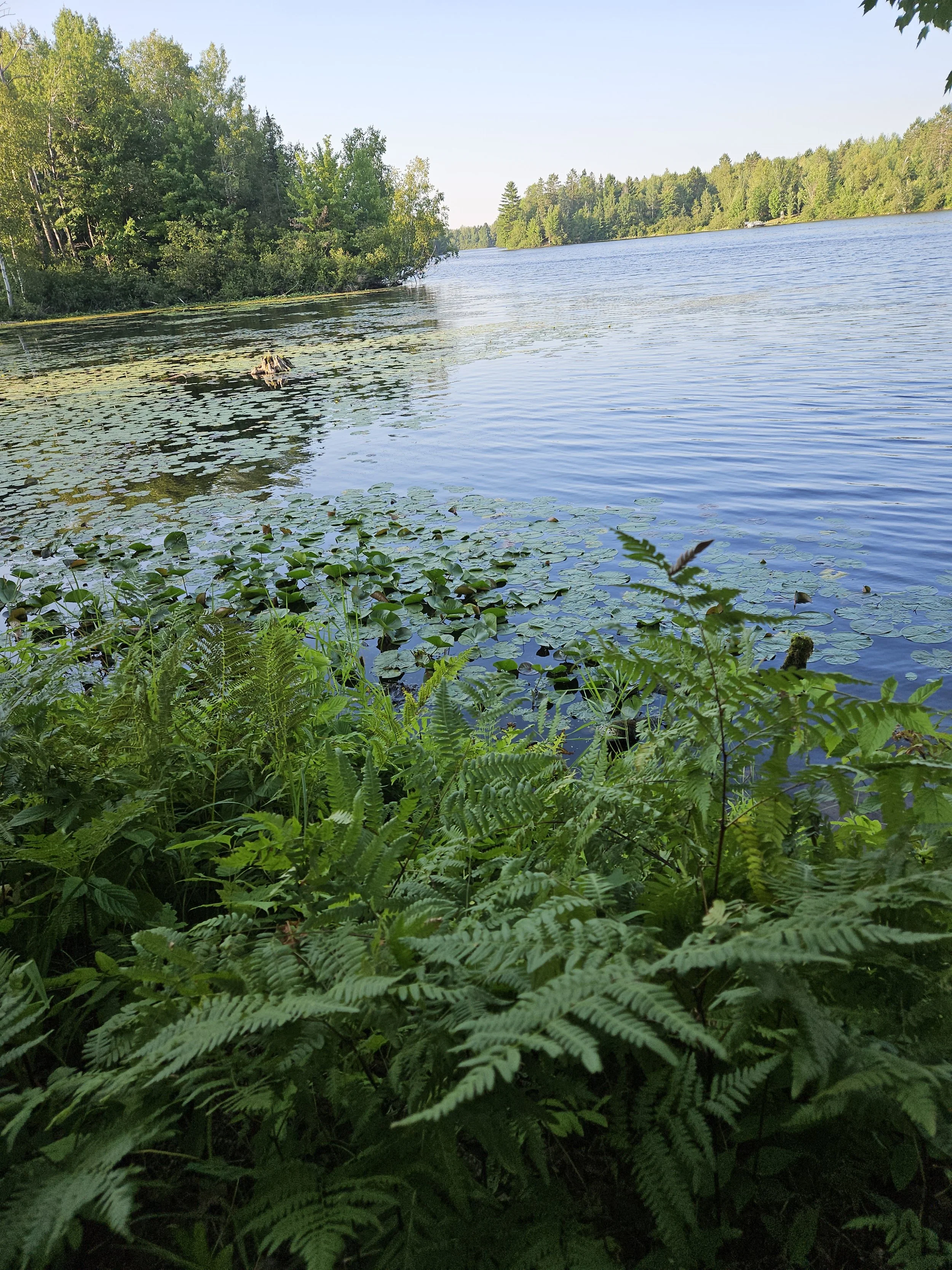 The lake at the cabin