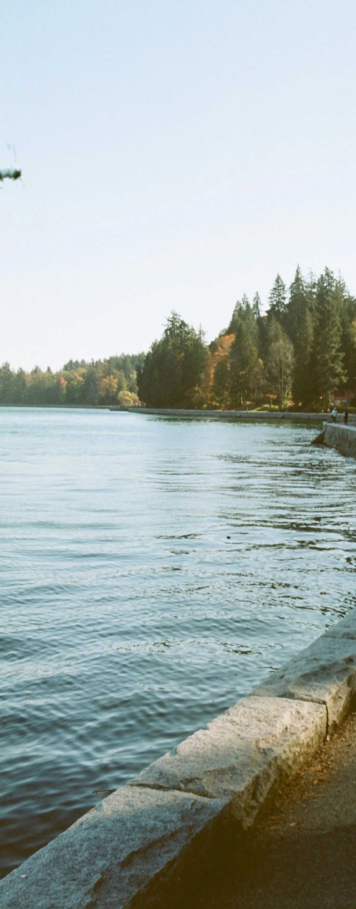 River with tree-lined bank under clear sky, concrete embankment in foreground, and a walking path along the water.