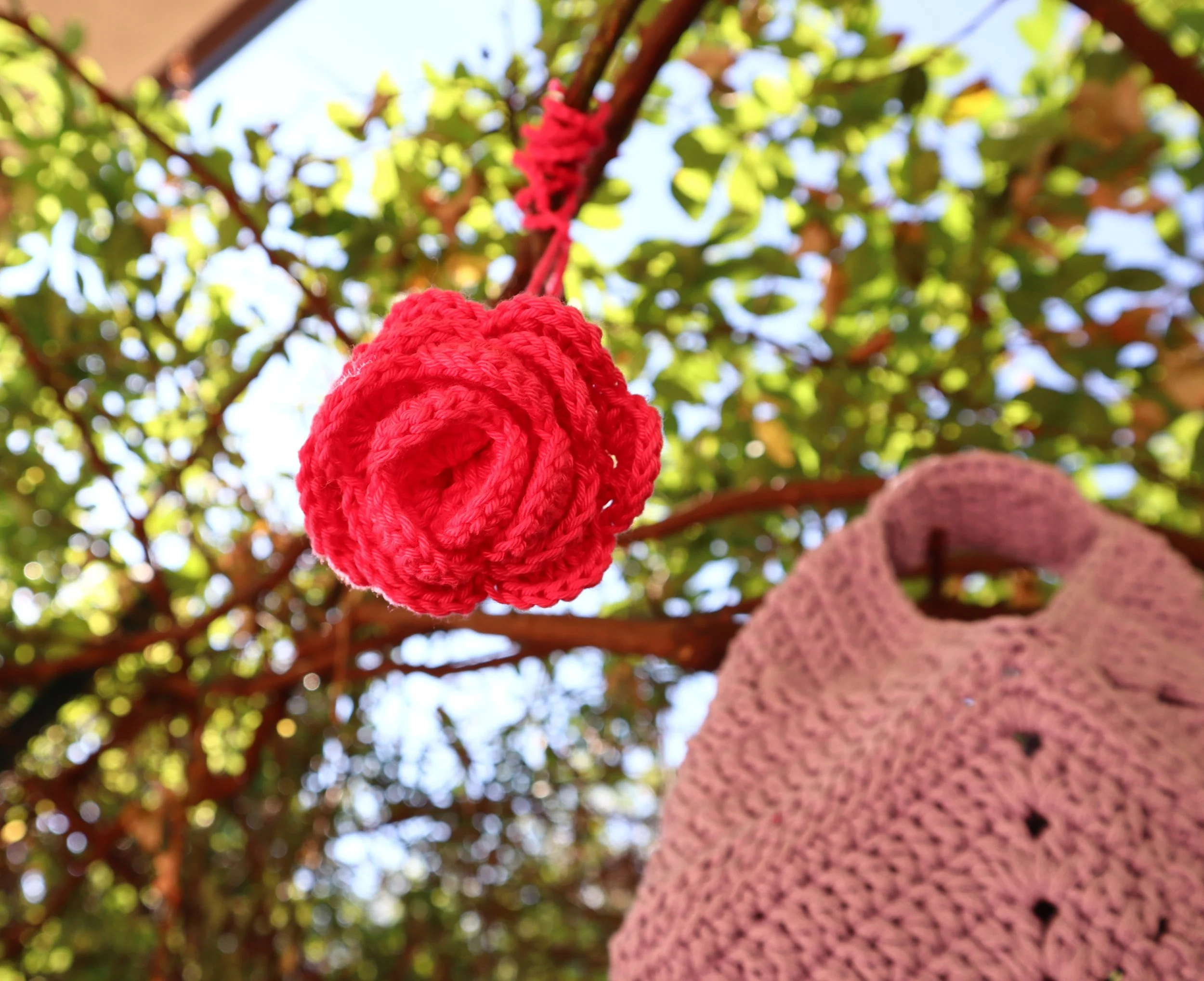 Progetti Fotografici