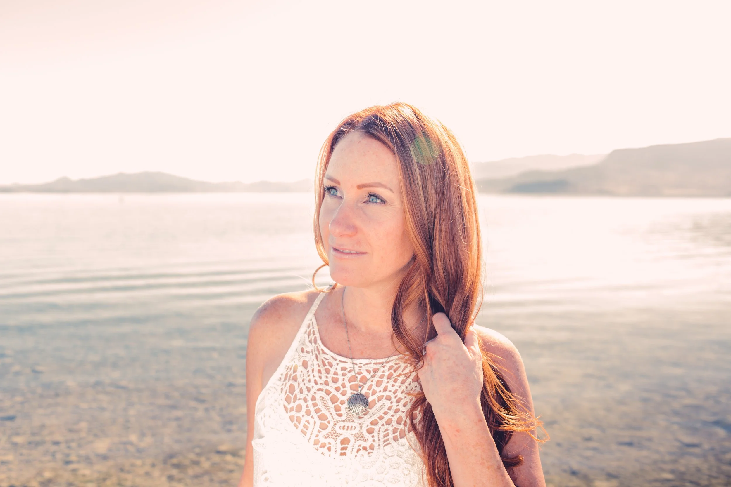 Diana Tolley Artist's Bio