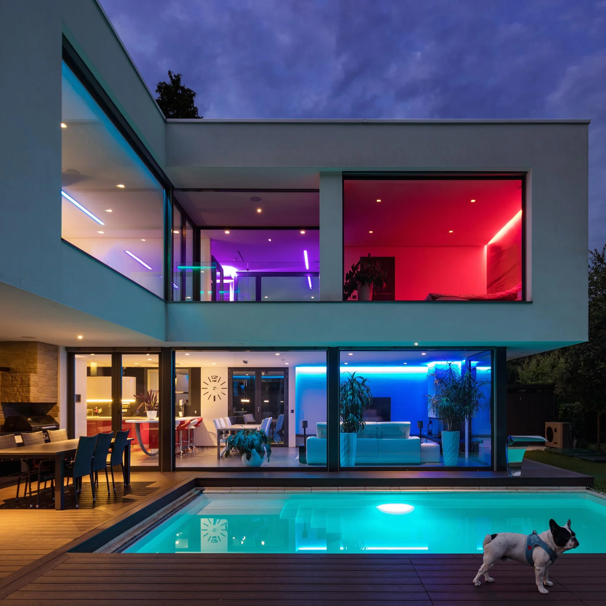 Modern house with large glass windows illuminated by colorful LED lights at dusk, featuring a swimming pool, outdoor seating, and a French Bulldog in the foreground.