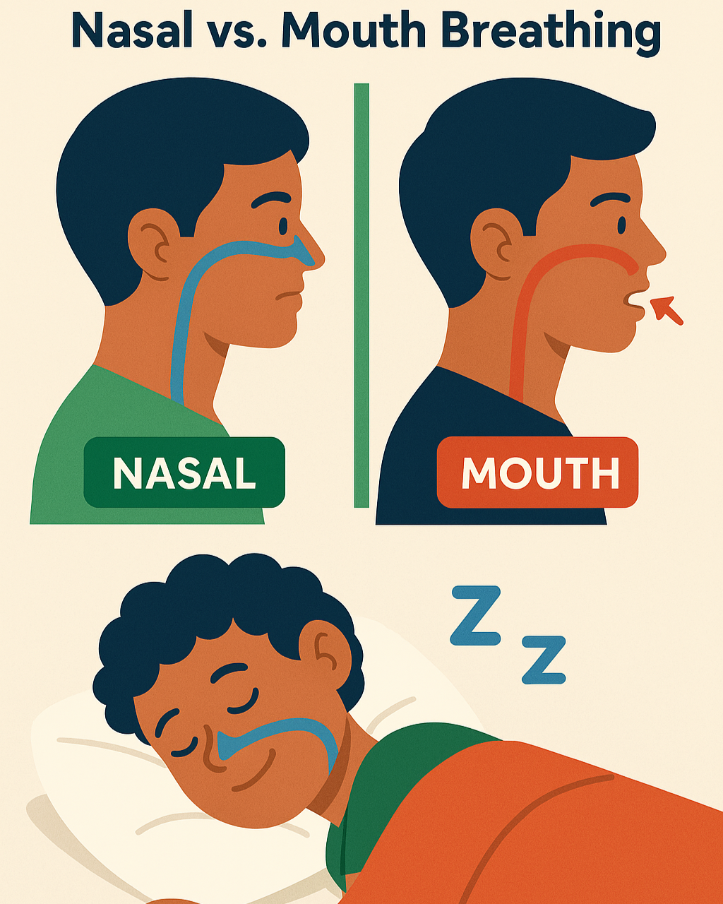 Why a Clear Nasal Airway Actually Matters (And Yes, It’s More Important