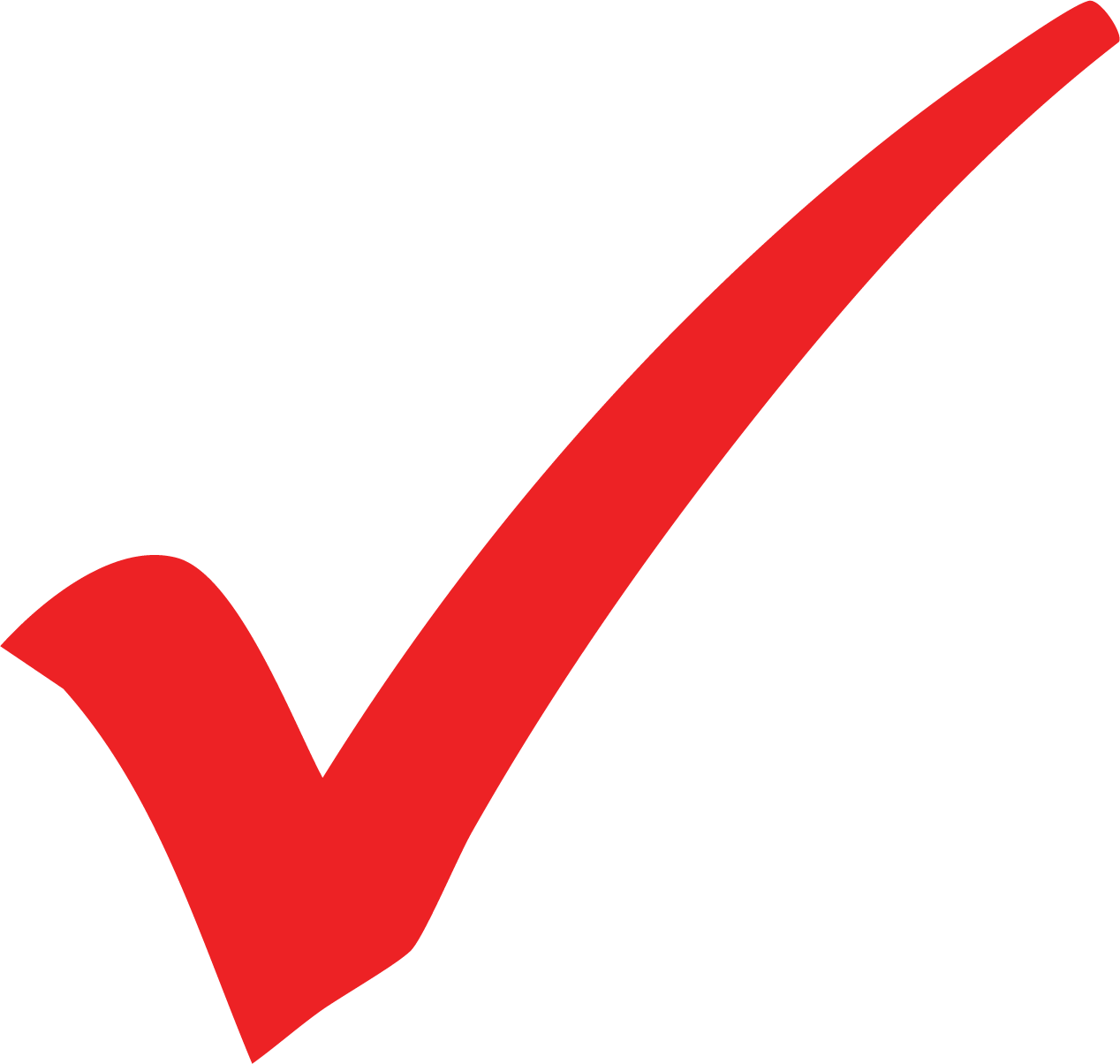 A large red checkmark symbol on a transparent background.