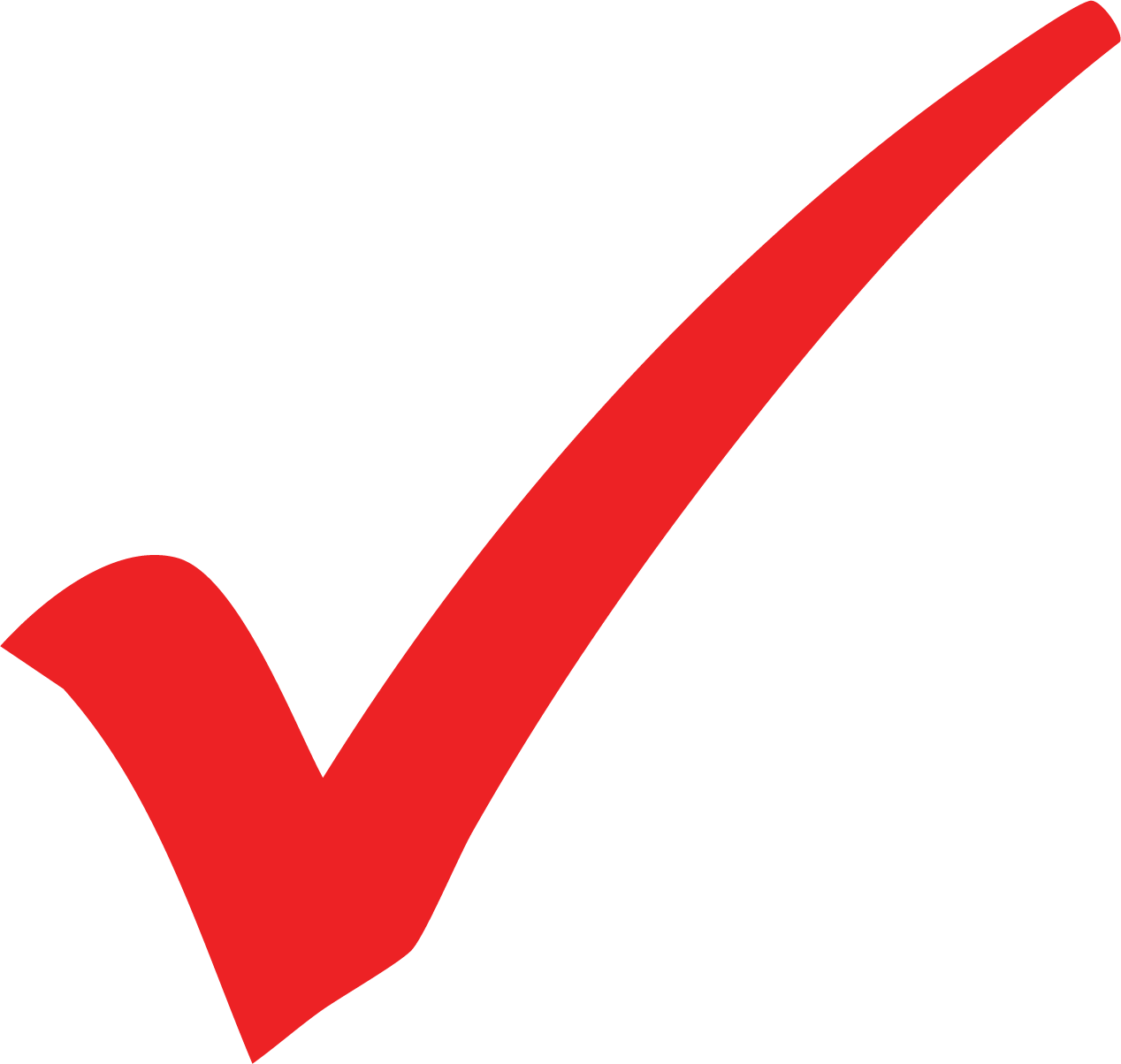 Large red check mark