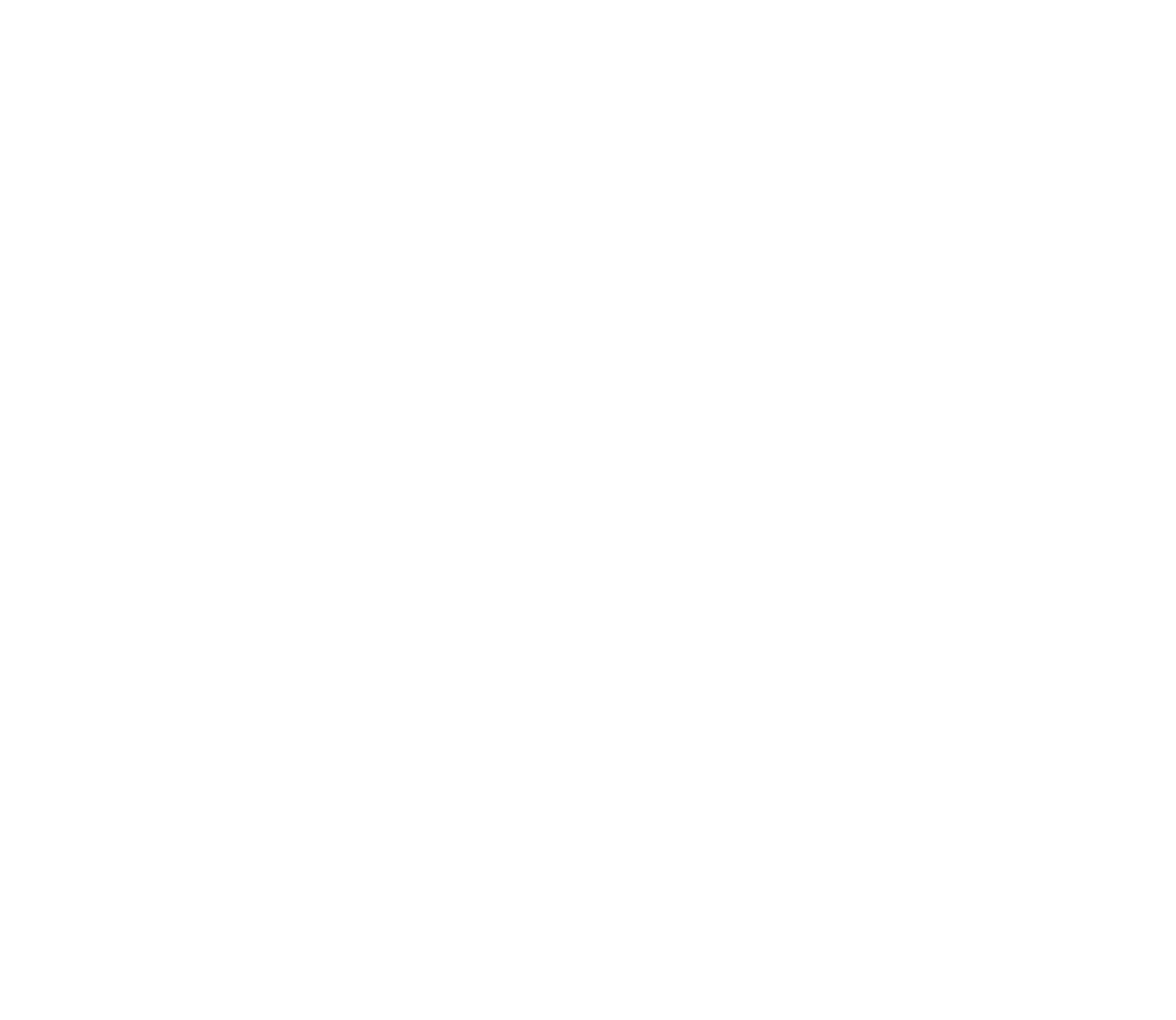 Line drawing of a human brain, outlined in black on a white background.