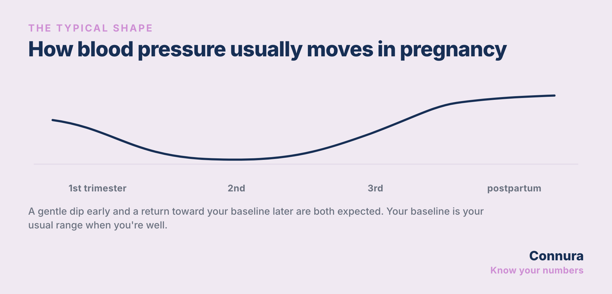Blood Pressure Through Each Trimester