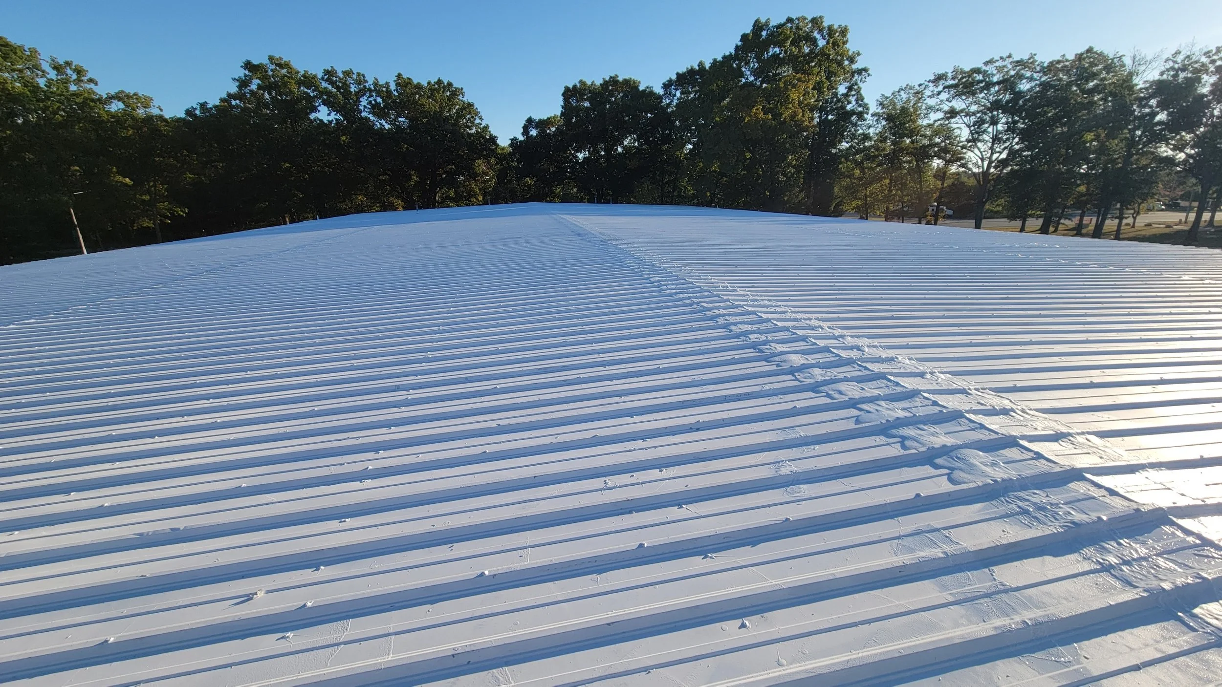 Dynamic Roof 3.jpg