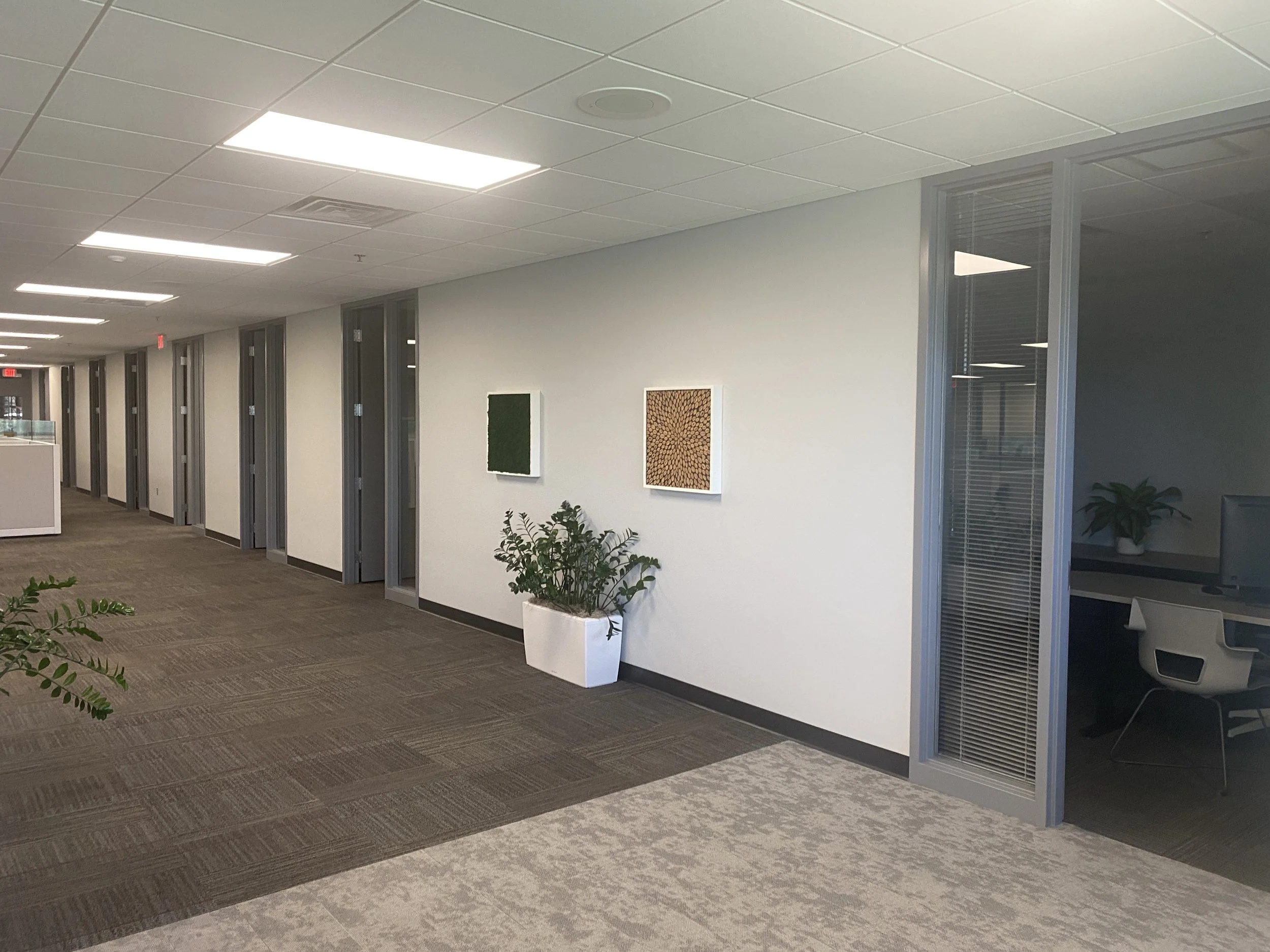 Commercial office cleaning.JPG