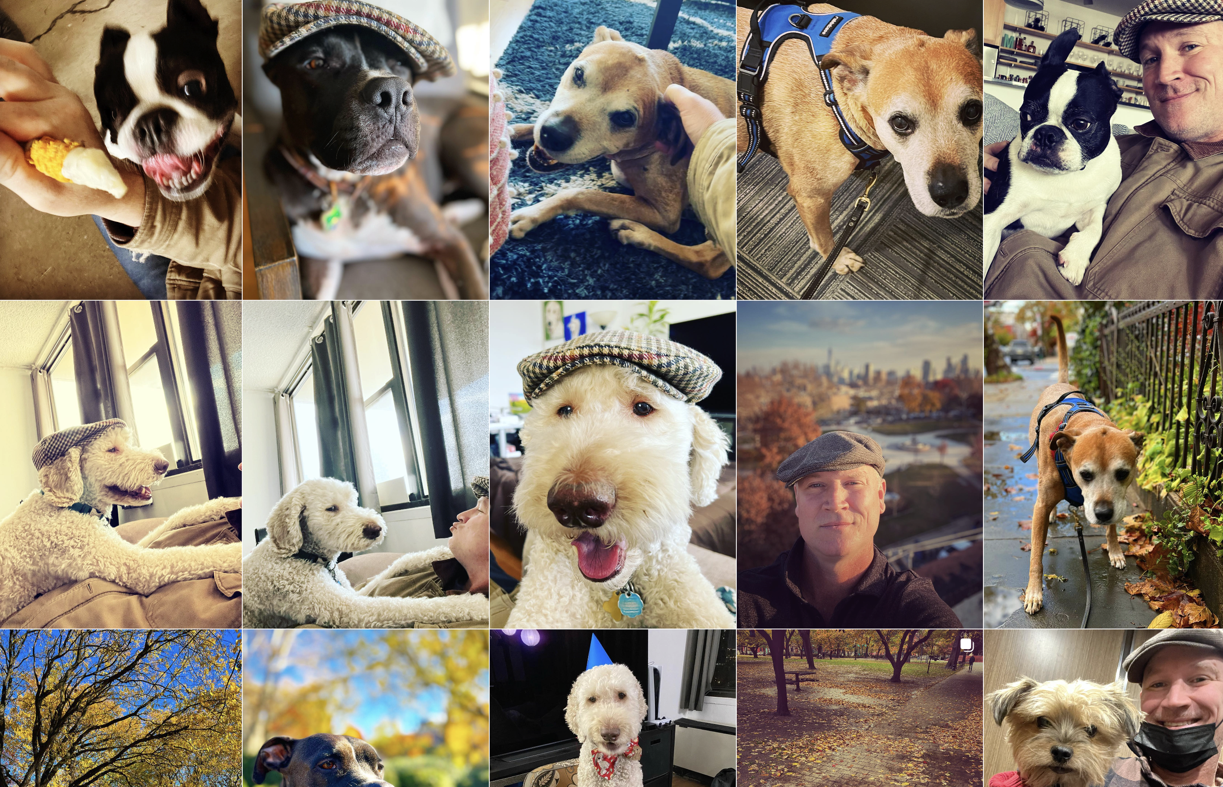 Best Dog Walker Near Grove Street PATH in Jersey City (2026 Guide)