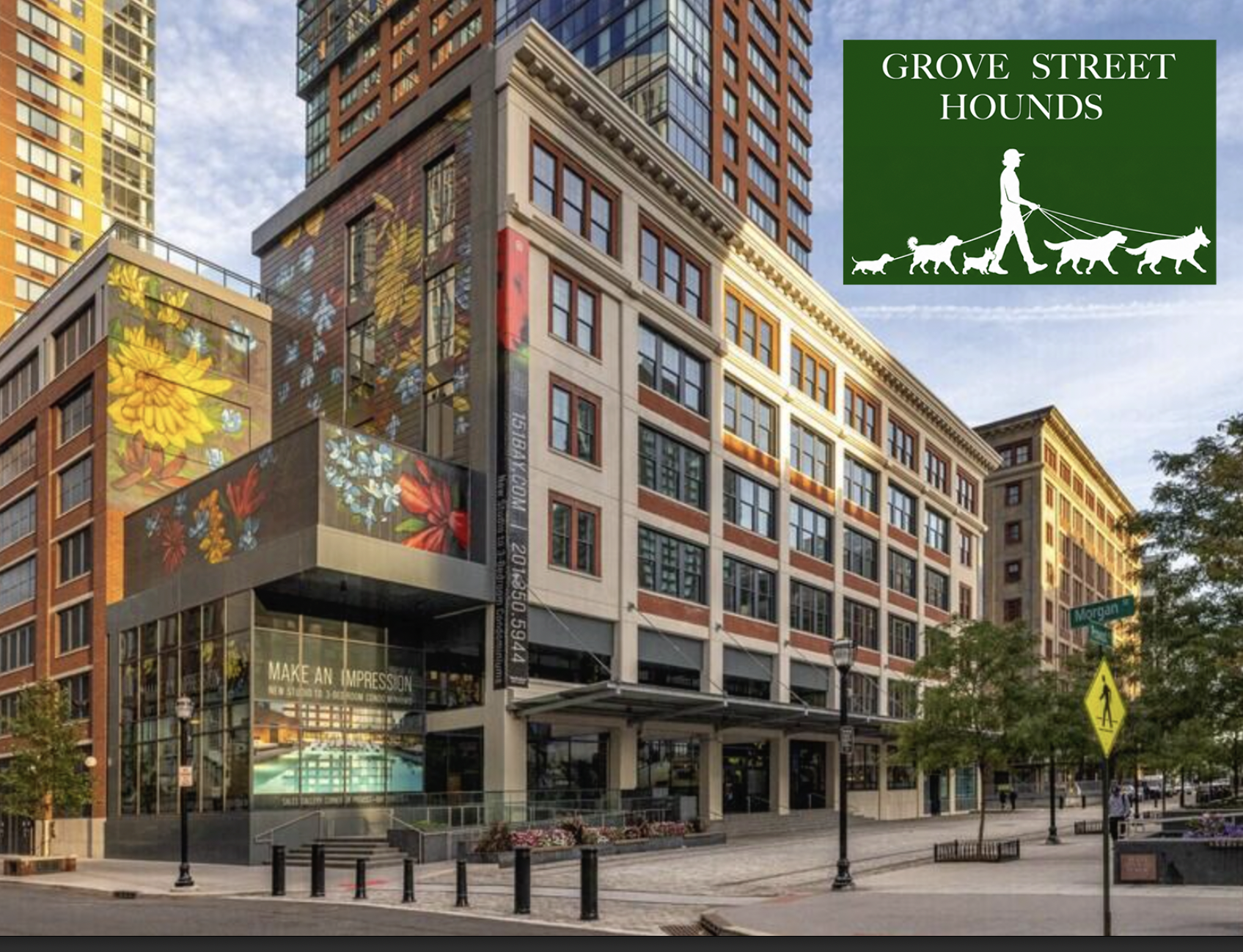 Why Residents of 151 Bay Street Choose Grove Street Hounds as Their Premier Dog Walking Service