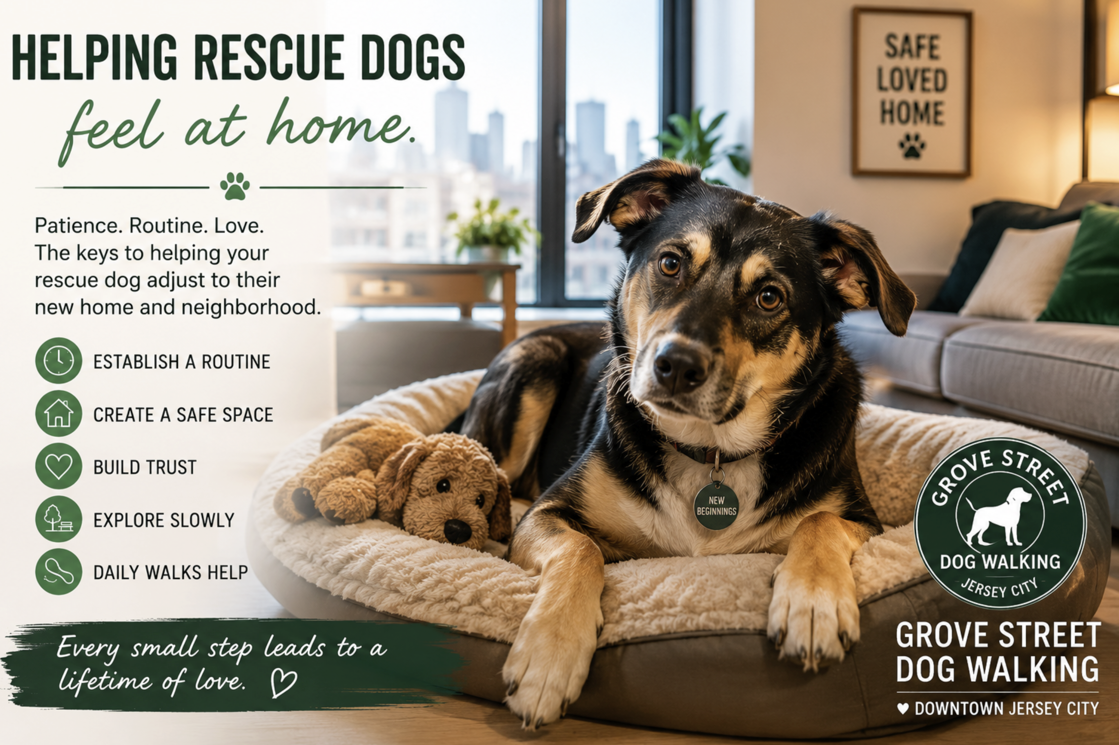 How to Help a Rescue Dog Adjust to a New Home and Neighborhood  - Grove Street Hounds | Downtown Jersey City Dog Walking