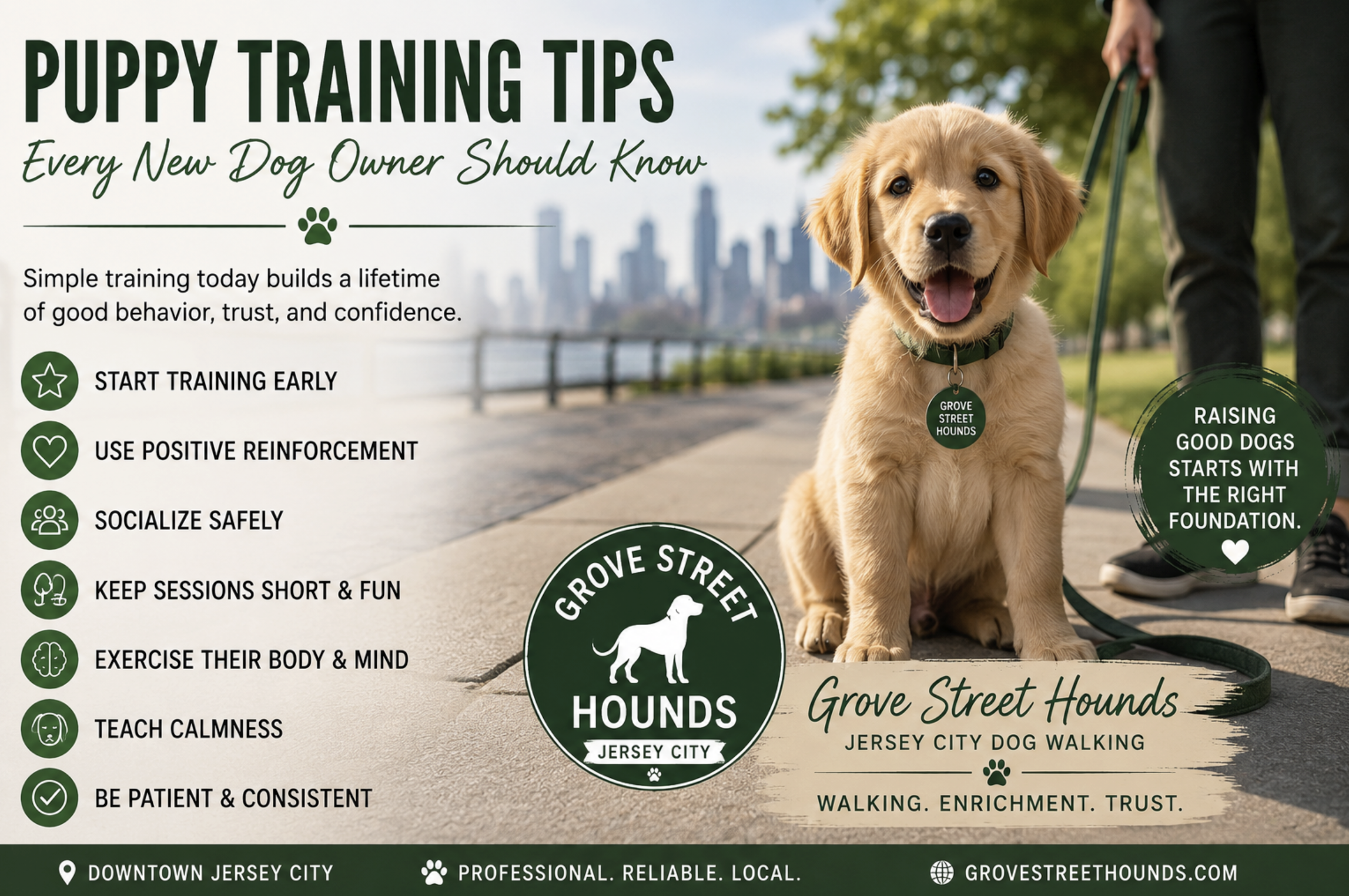  Puppy Training Tips Every New Dog Owner Should Know | Written by Grove Street Hounds – Jersey City Dog Walking