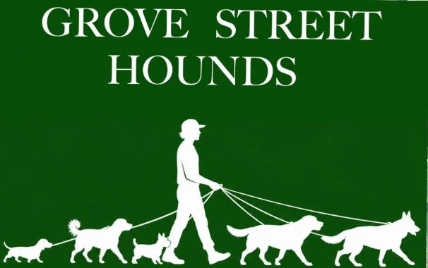 What Happens During a 30-Minute Dog Walk With Grove Street Hounds?