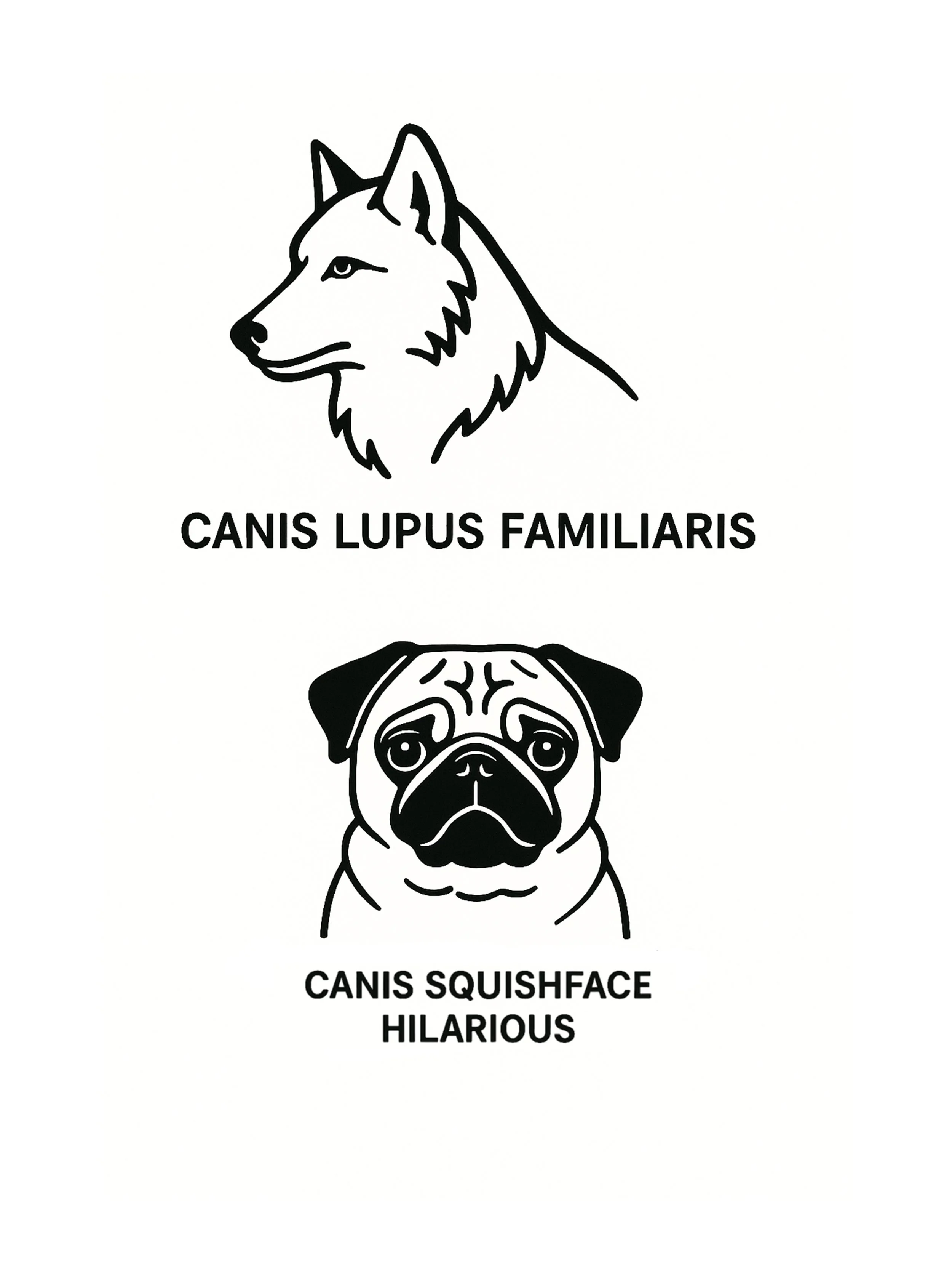 Wolf to Pug Evolution Poster • Funny Dog Wall Art • Canis Lupus to Pug Printable • Pug Digital Download • Dog Lover Gift • Minimalist Pet Decor