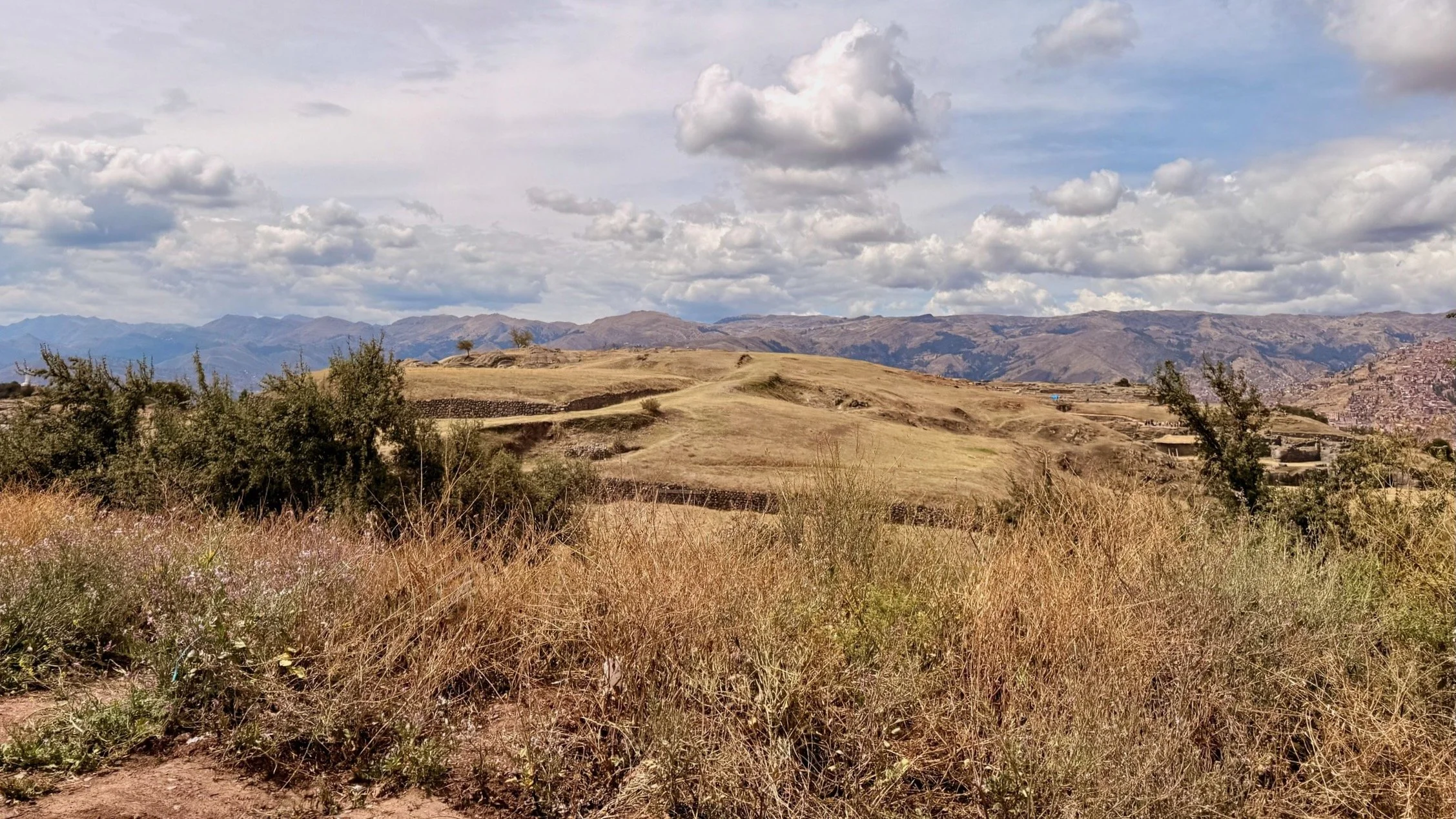 IMG_1417+(1) copy.jpeg